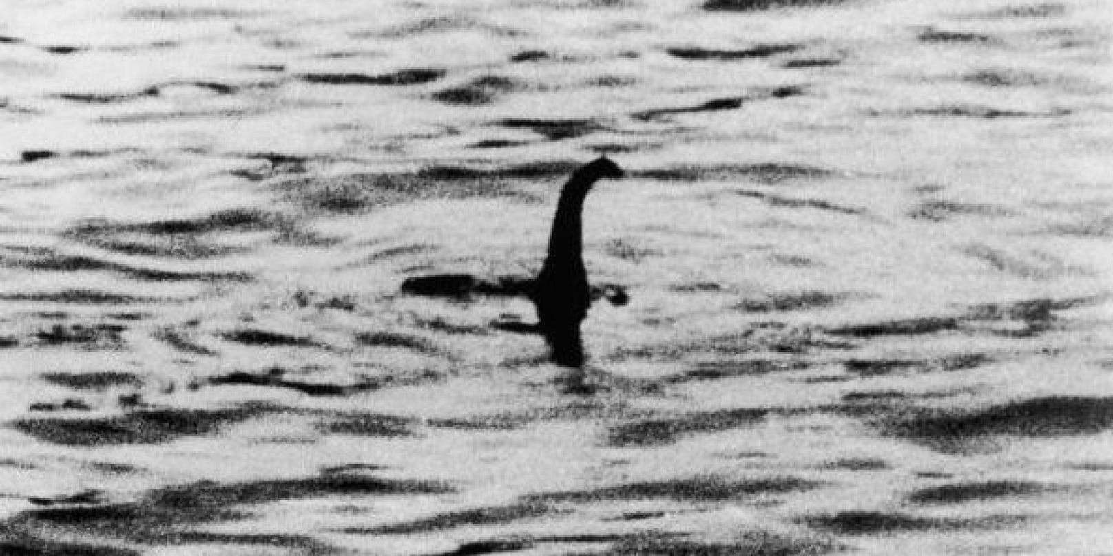 Eine Ähnlichkeit zum aktuellen Foto ist vorhanden! Das berühmteste Foto von Nessie aus dem Jahr 1934.
