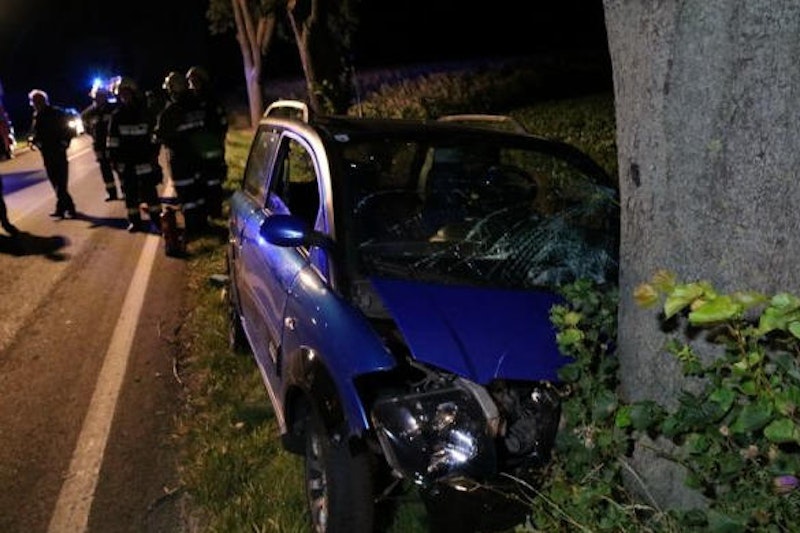 Der Fahrer wurde beim Crash schwer verletzt.
