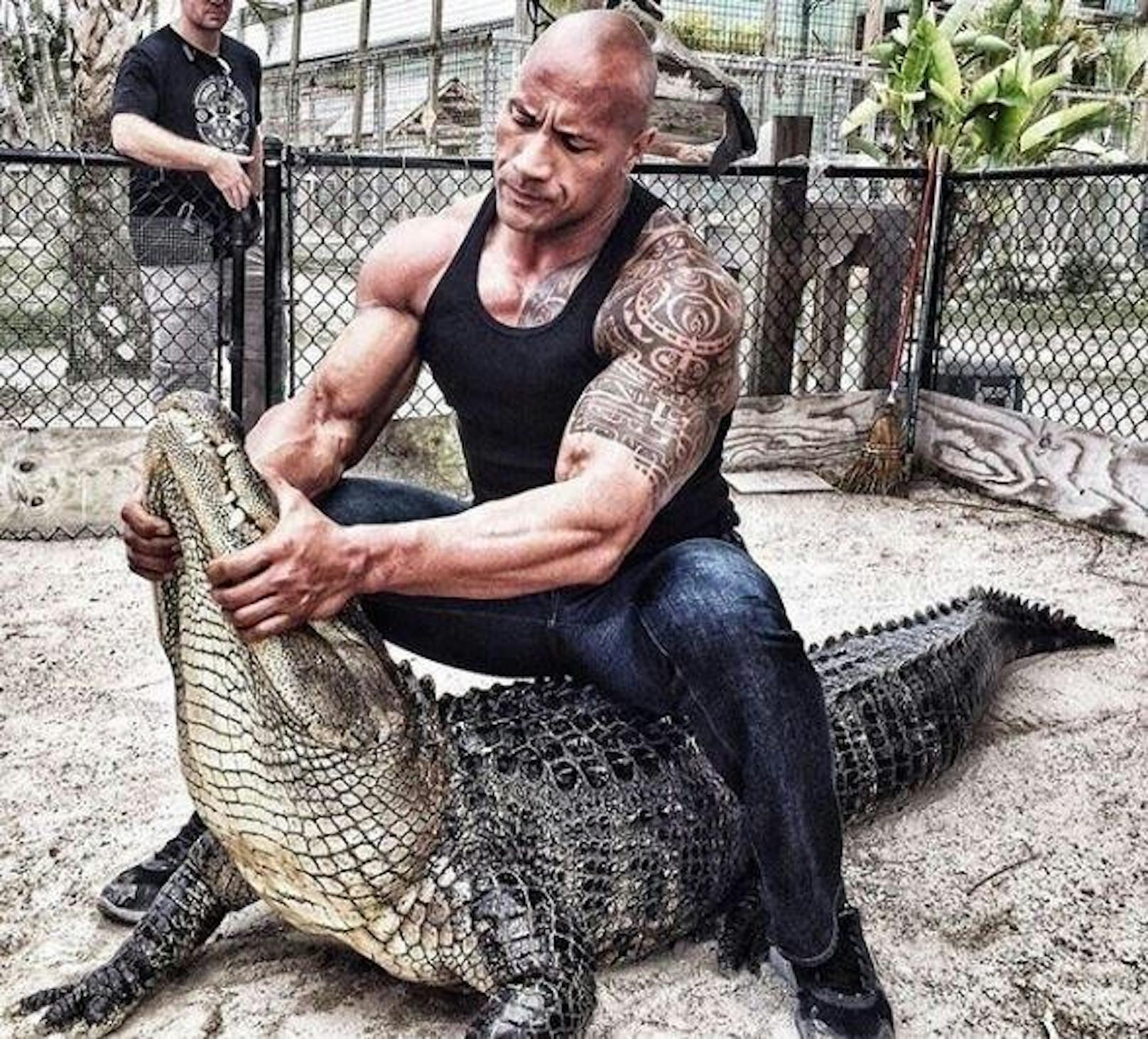 08.04.2018: "Falls ihr je in die Nähe eines Alligators kommen solltest. macht das ja nicht nach", warnt Dwayne "The Rock" Johnson seine Fans.