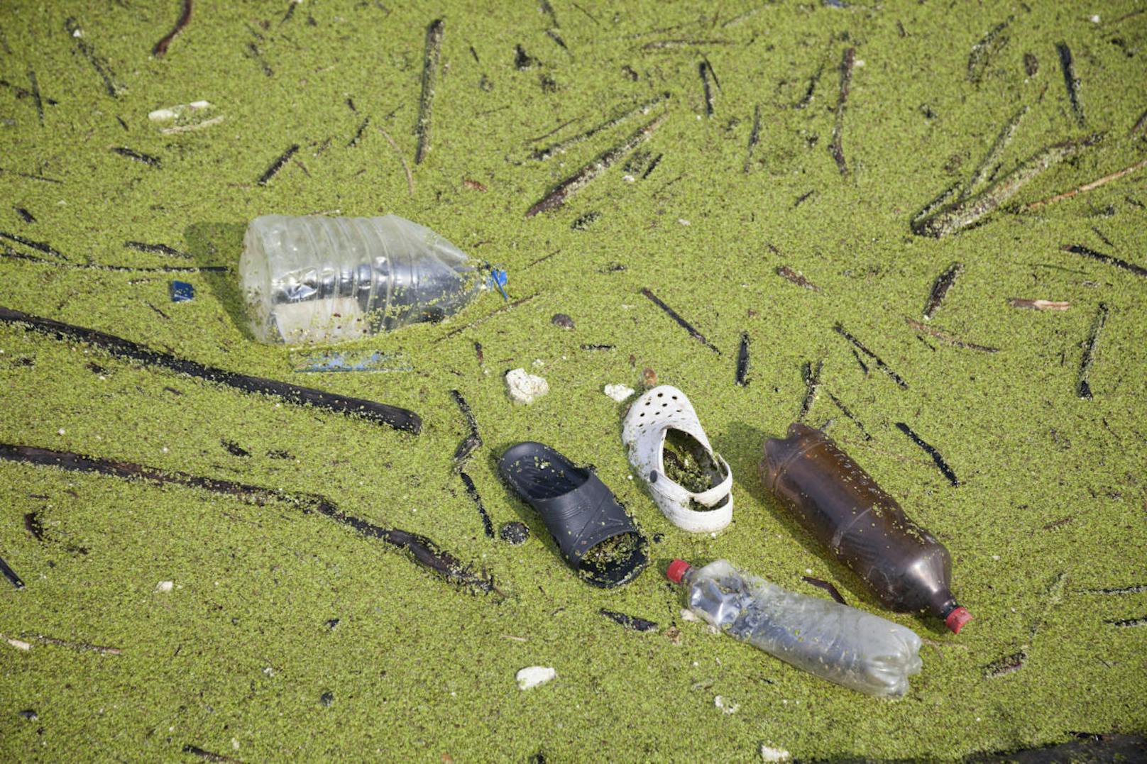 Doch die Verschmutzung der Meere setzt dem Plankton massiv zu. Laut dem schottischen Forscher Howard Dryden muss bis in zehn Jahren eine Wende vollbracht sein, da sonst das Ökosystem der Meere kollabieren werde.