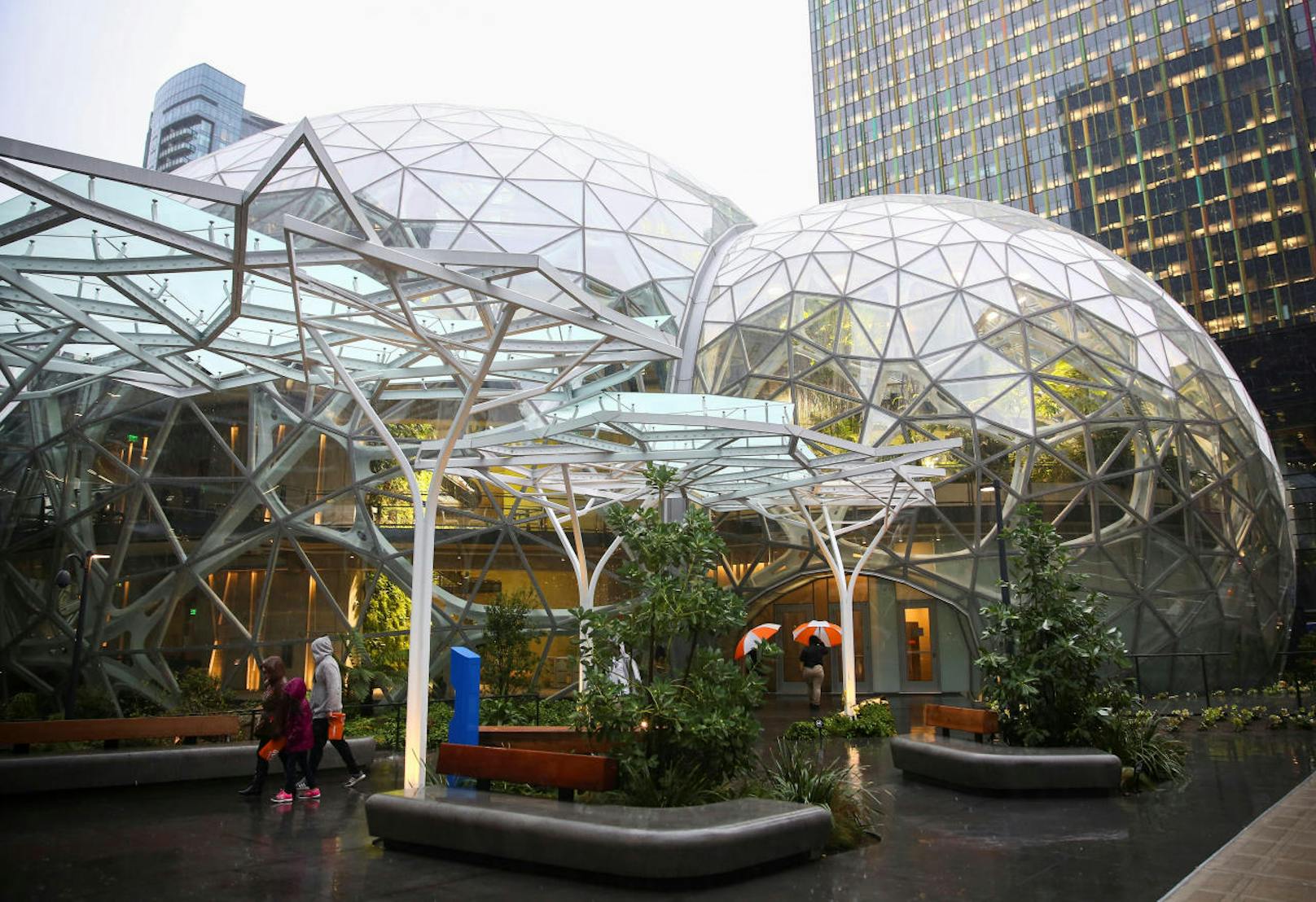Der Online-Händler Amazon hat unkonventionelle neue Büros in der Innenstadt von Seattle eröffnet. Statt einem typischen Geschäftsgebäude ähneln diese mehr einem Regenwald. Sieben Jahre lang dauerten die Planung und der Bau des sogenannten Sphere Complex. Die spezielle Architektur mit 40.000 Pflanzen aus aller Welt soll die Kreativität der Angestellten fördern.