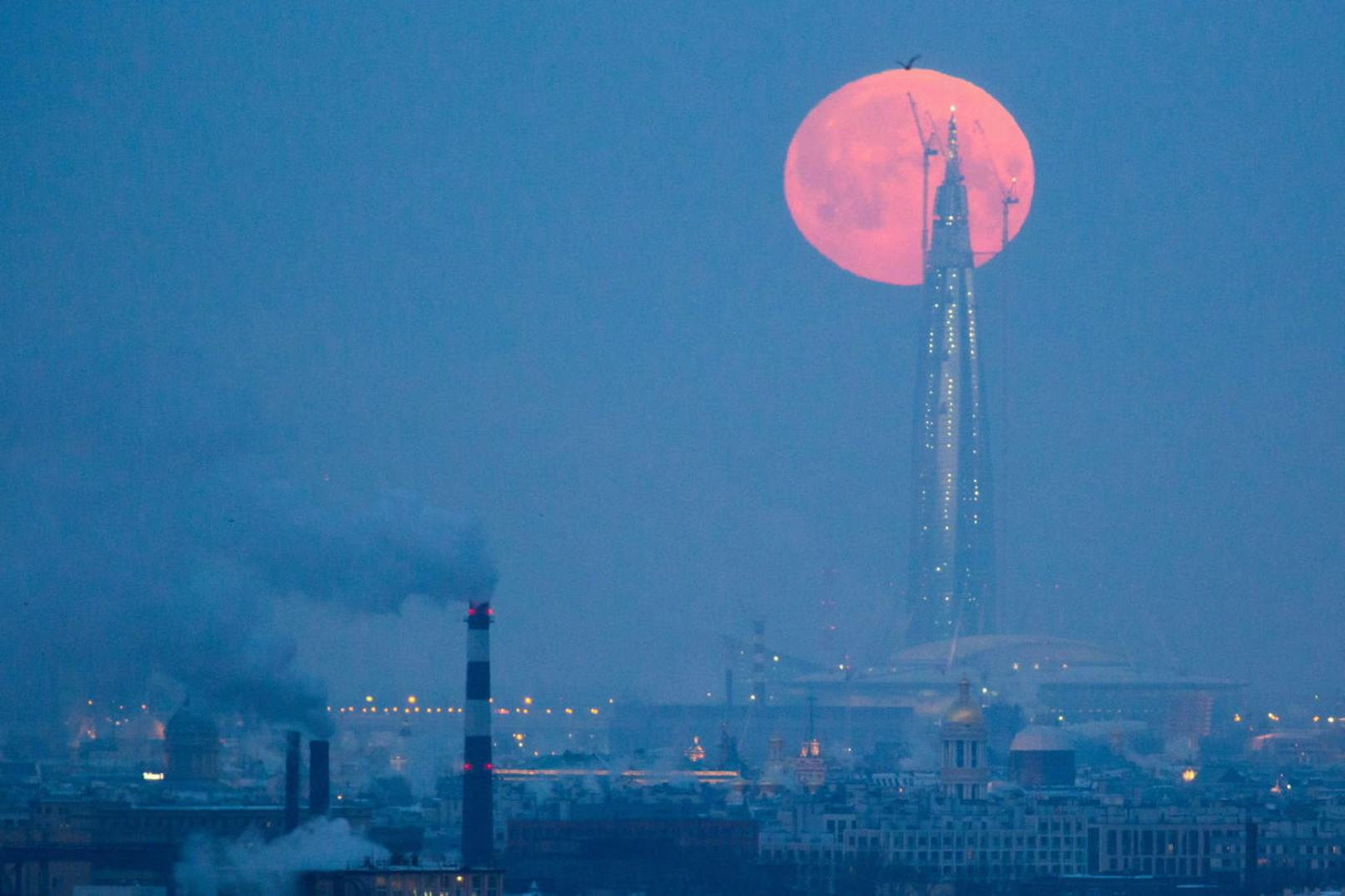 Im russischen St. Petersburg hing der Supermond als große rote Scheibe über dem Horizont. Ein Fotograf erwischte ihn, als er genau hinter der Baustelle des riesigen Lakhta-Zentrums aufging.