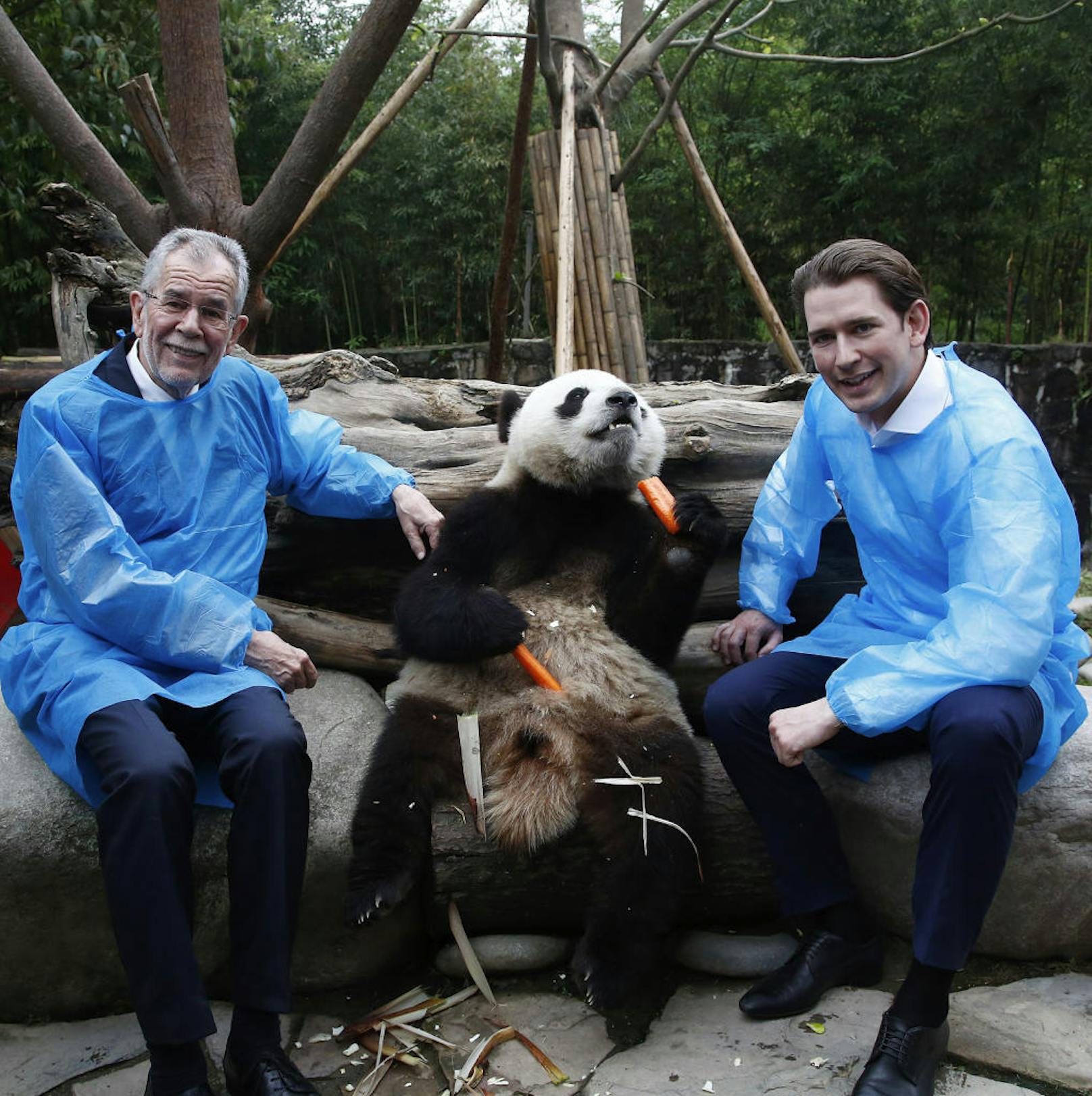 Bundespräsident Van der Bellen und Bundeskanzler Kurz bei den Pandas im Du Jiangyan Panda Park