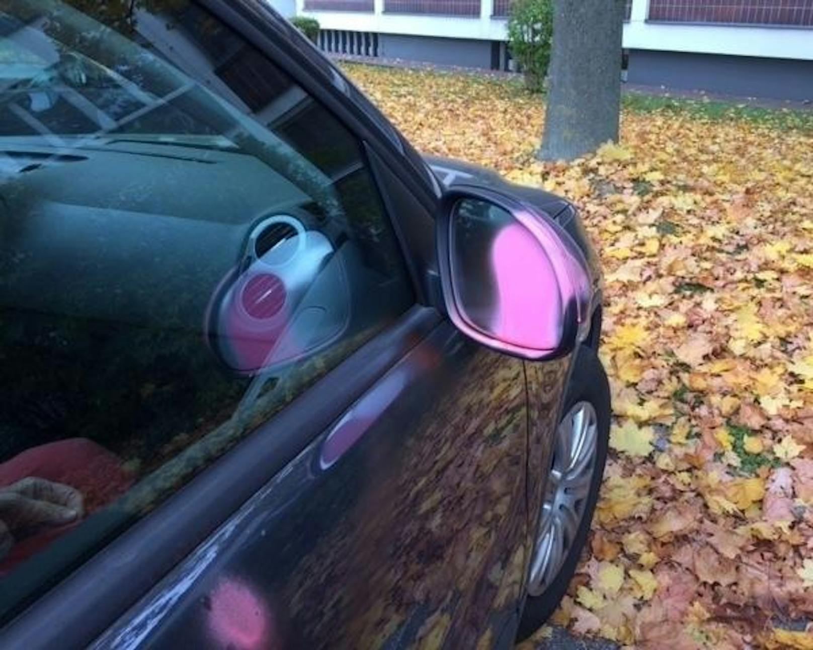Die Autos wurden mit pinkem Farbspray verunstaltet.