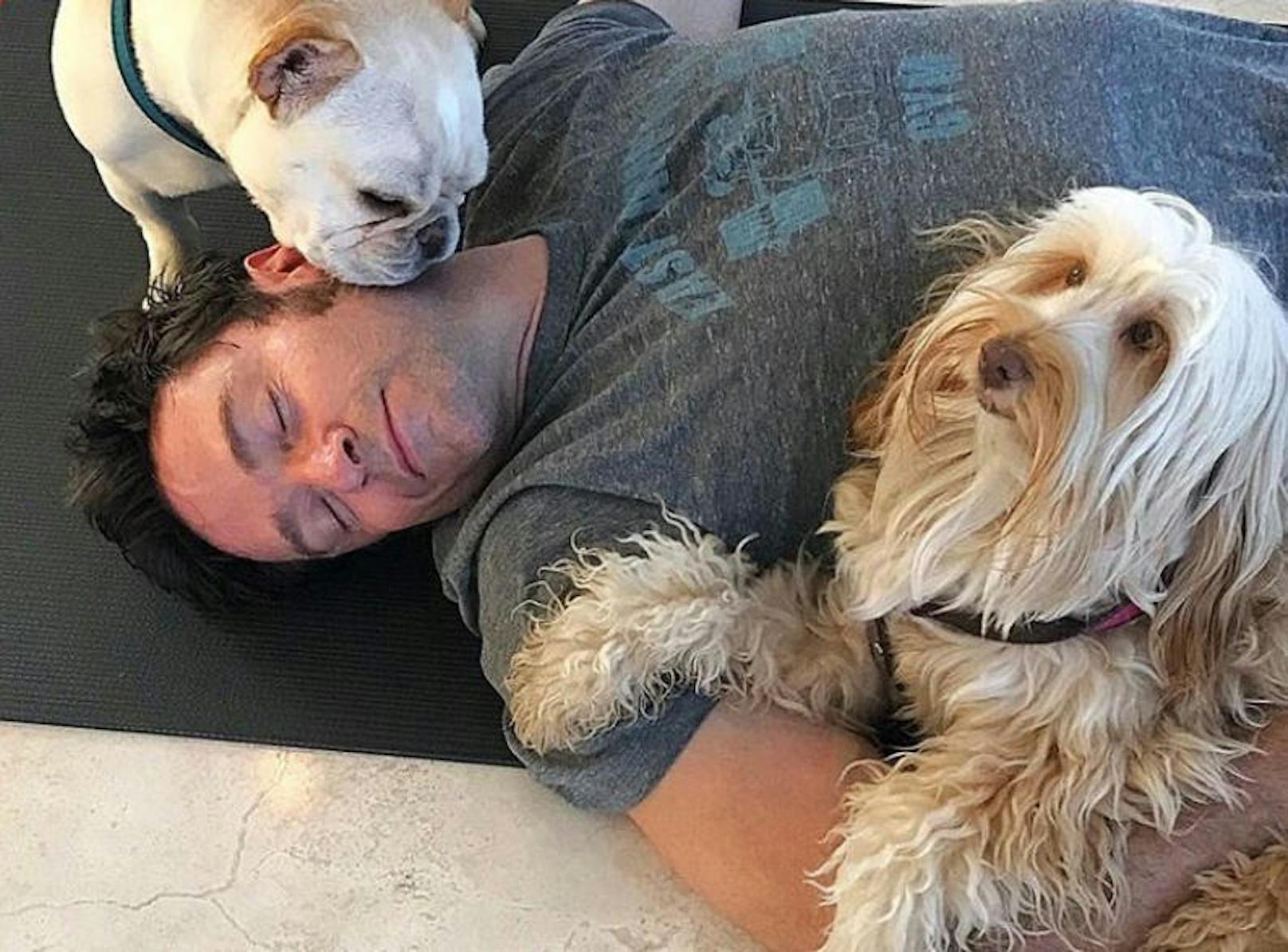 Hugh Jackman entspannt mit seinen Hunden