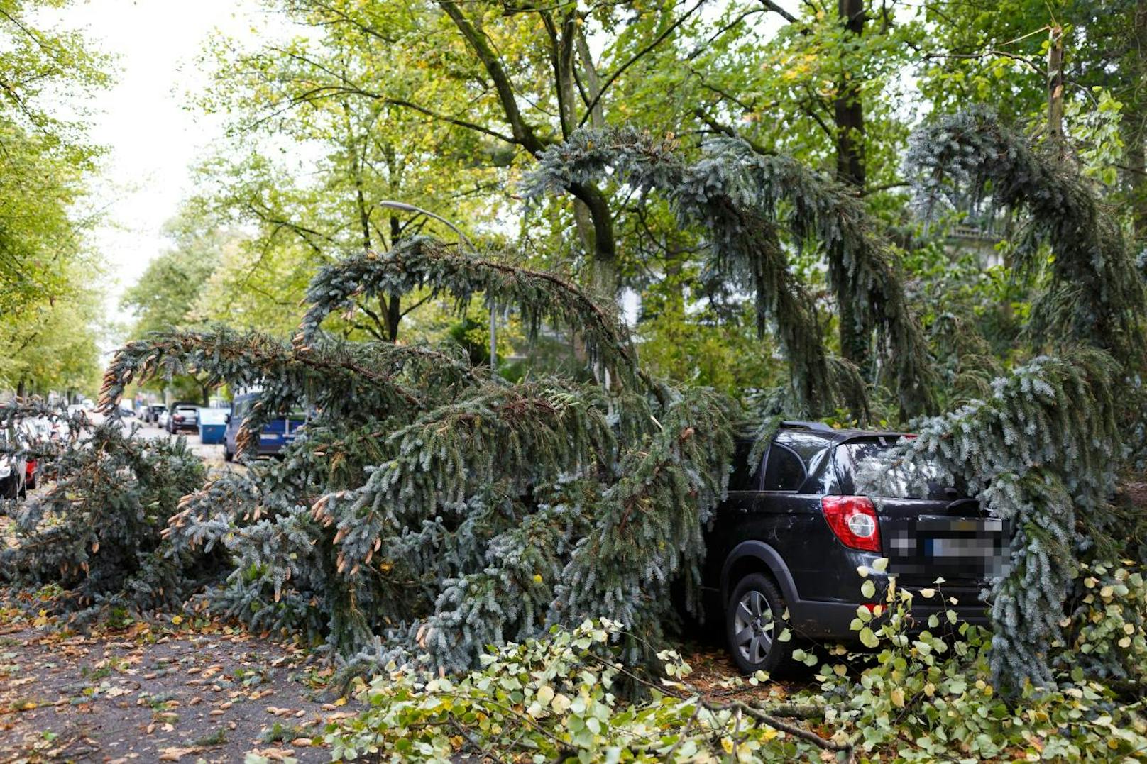 Zahlreiche Bäume stürzten um und begruben Autos.