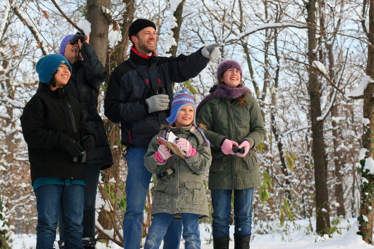 Die Vogelschutzorganisation BirdLife Österreich ruft zur 