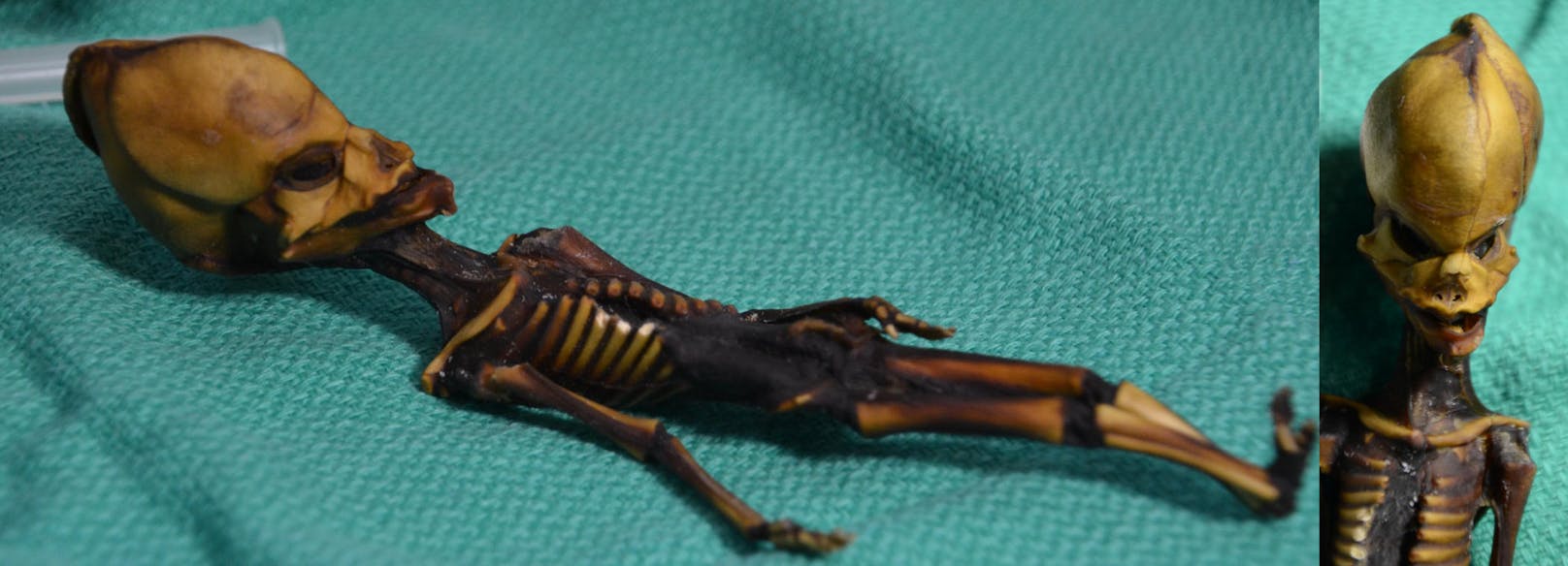 Die handgroße Mini-Mumie aus der Atacama-Wüste wurde nach ihrem Fundort "Ata" genannt. Die DNS-Analyse zeigte nun, dass es sich um einen Menschen handelt.