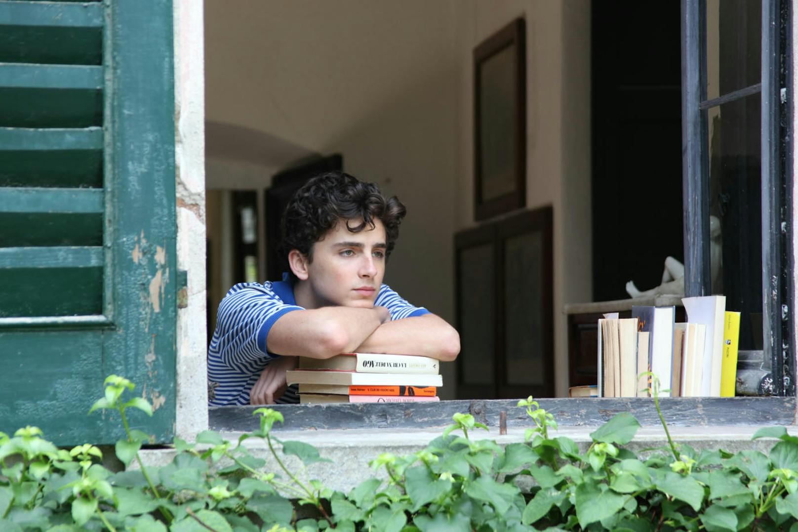 Timothée in "Call Me By Your Name"