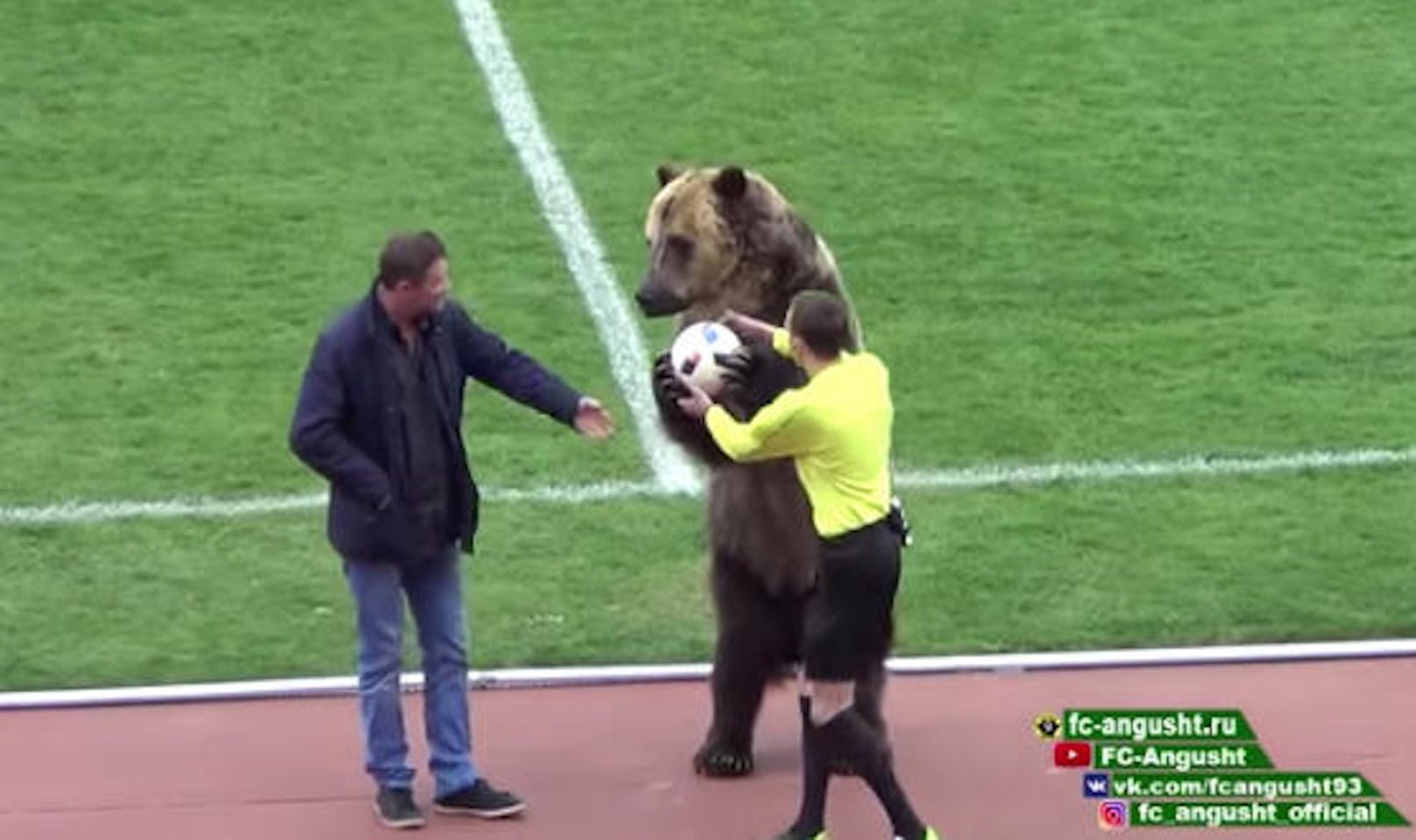 Vor WM in Russland - Bärin übergab Matchball - das Video sorgte für Diskussionen