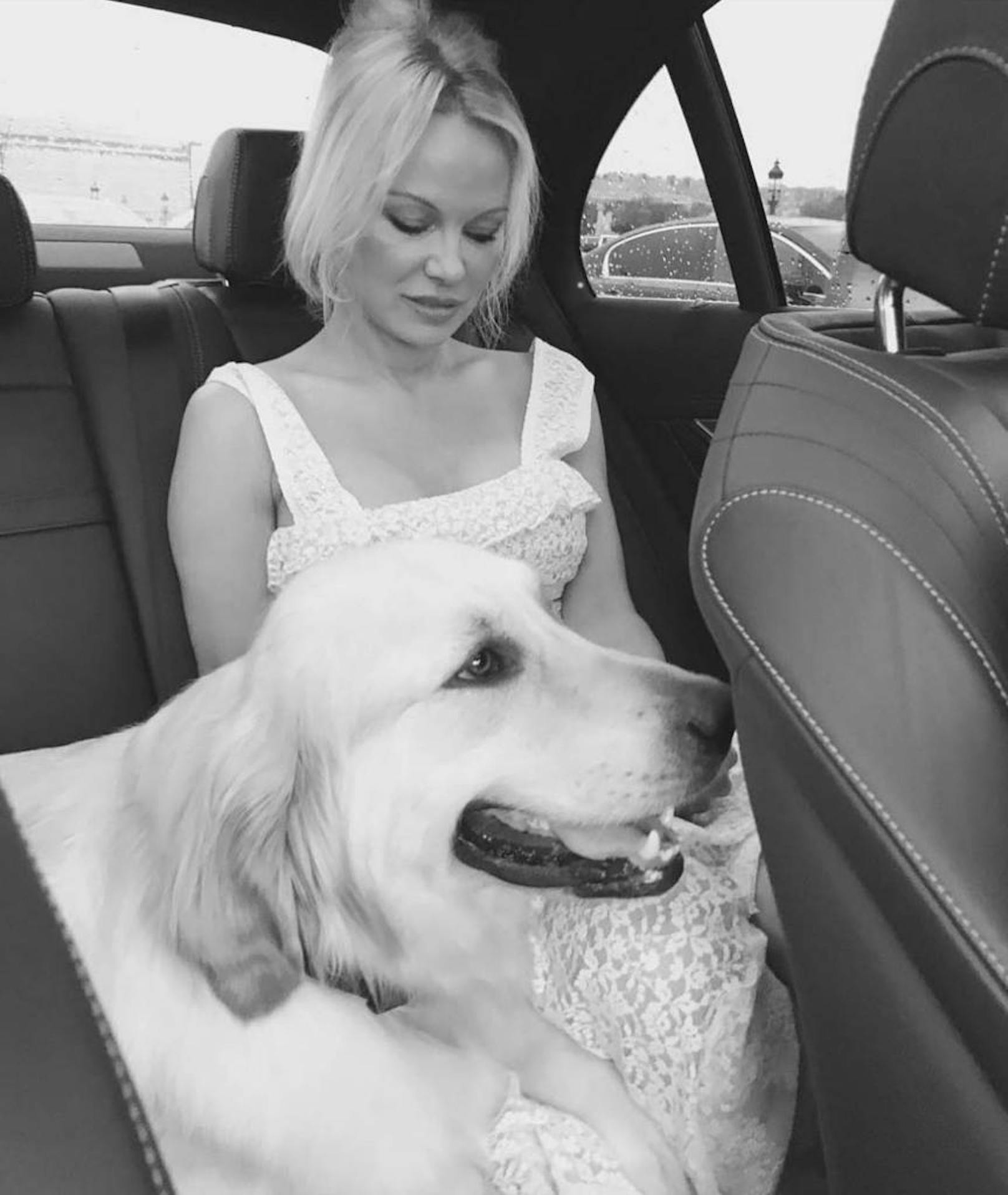 Pamela Anderson mit Doggy