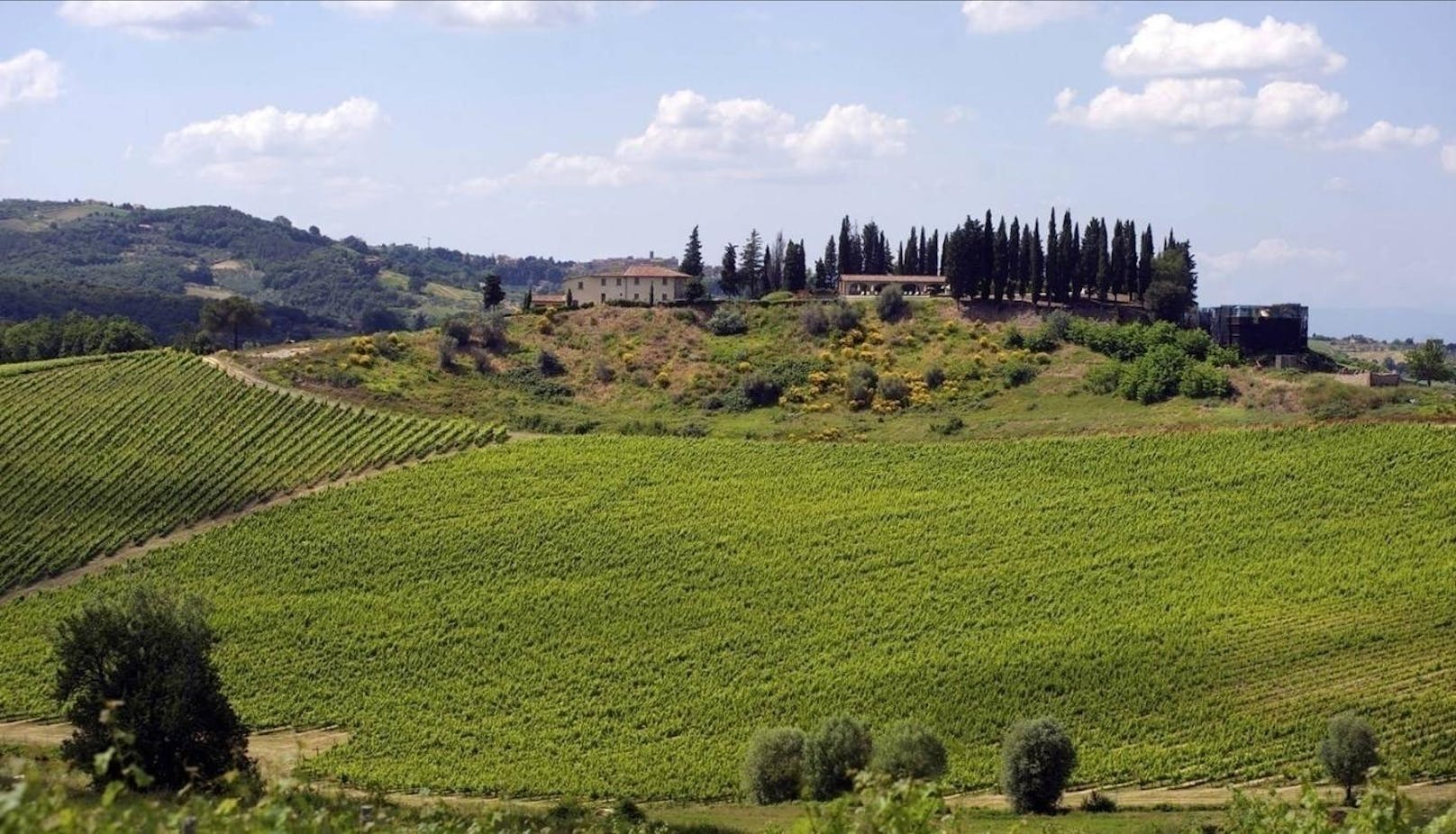 <b>Italien</b>
Das könnte ihr neuer Weinberg in San Gimignano in der Toskana sein. Beim Kauf werden Sie Herr über verschiedene Traubensorten. Auf 36 Hektaren wachsen Vernaccia di San Gimignano DOCG, IGT Chardonnay, Chianti DOCG und IGT Rosso. Außerdem gehören 18 Hektaren Olivenhain zum Anwesen.