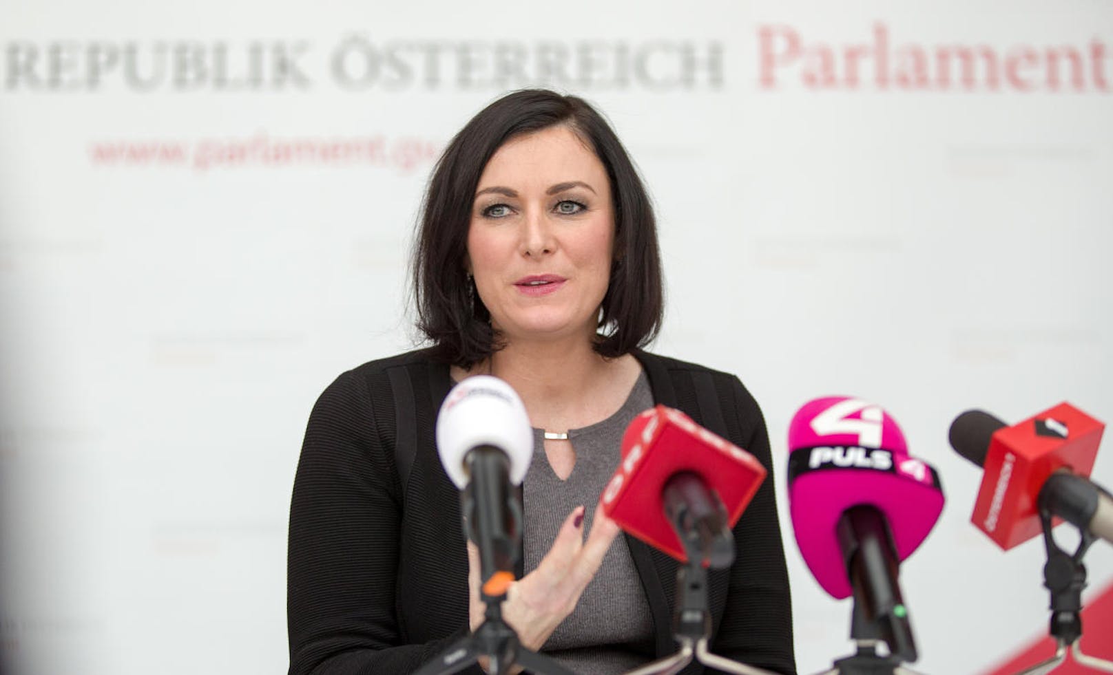 <b>Elisabeth Köstinger (ÖVP)</b> gab ihr Amt als Nationalratspräsidentin bereits nach fünf Wochen wieder auf und übenahm das neue genannte <b>Landwirtschaftsministerium</b>. Für ihren Vorgänger Andrää Rupprechter (ÖVP) war im neuen Ministerteam offenbar kein Platz mehr.