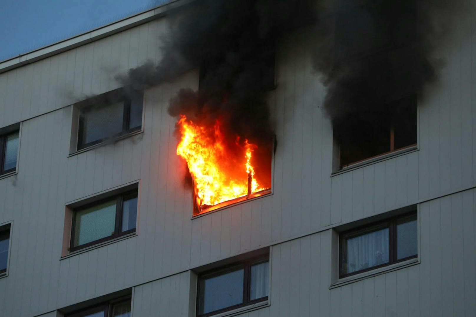 In Wels brannte eine Wohnung. Ein 45-Jähriger sprang aus dem Fenster und starb.