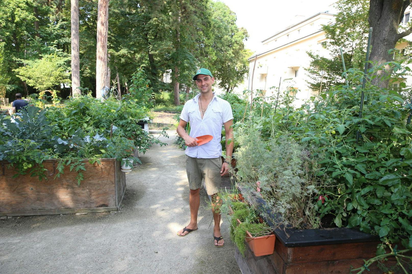 Gemeinsam mit neun anderen Gemeindebau-Bewohnern pflanzt Michael Roser Gurken, Paradeiser, Zucchini und Co. an.
