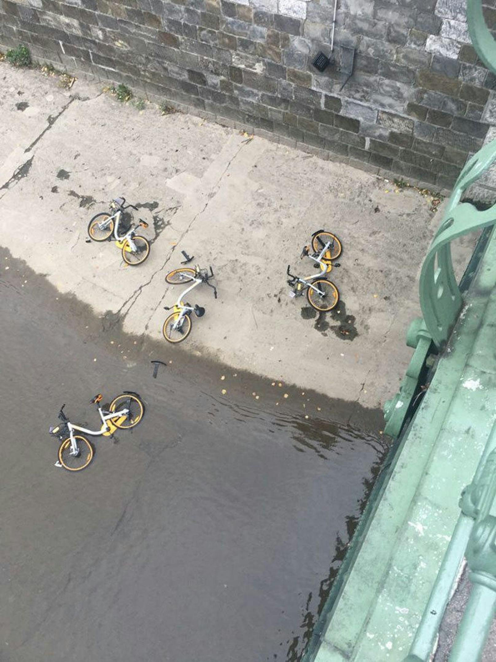 <b>September: Leihräder im Wienfluss</b>
Die Nutzer der chinesischen Bikesharer genießen die Freiheit, das ausgeliehene Rad überall abstellen zu dürfen. So war das aber sicher nicht gedacht! <a href="https://www.heute.at/oesterreich/wien/story/Abstellprobleme-mit-den-Bikesharing-Raedern-56040776">Hier geht's zur Geschichte</a>