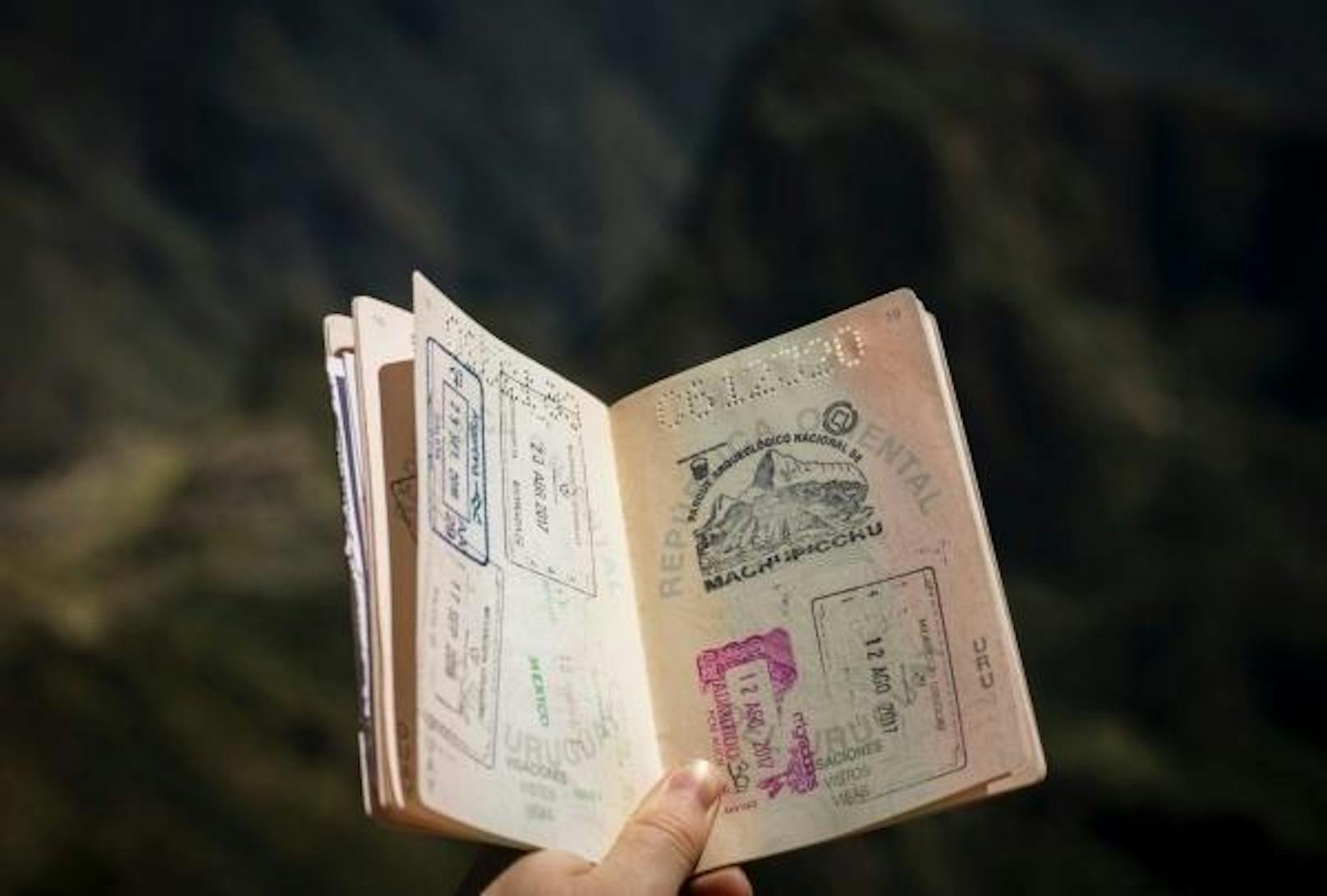 Bei diesem System müssen Passagiere ein Foto ihres Passes sowie des Visums hochladen und belegen, dass sie für die Zeit des Aufenthalts über ausreichend finanzielle Mittel verfügen.