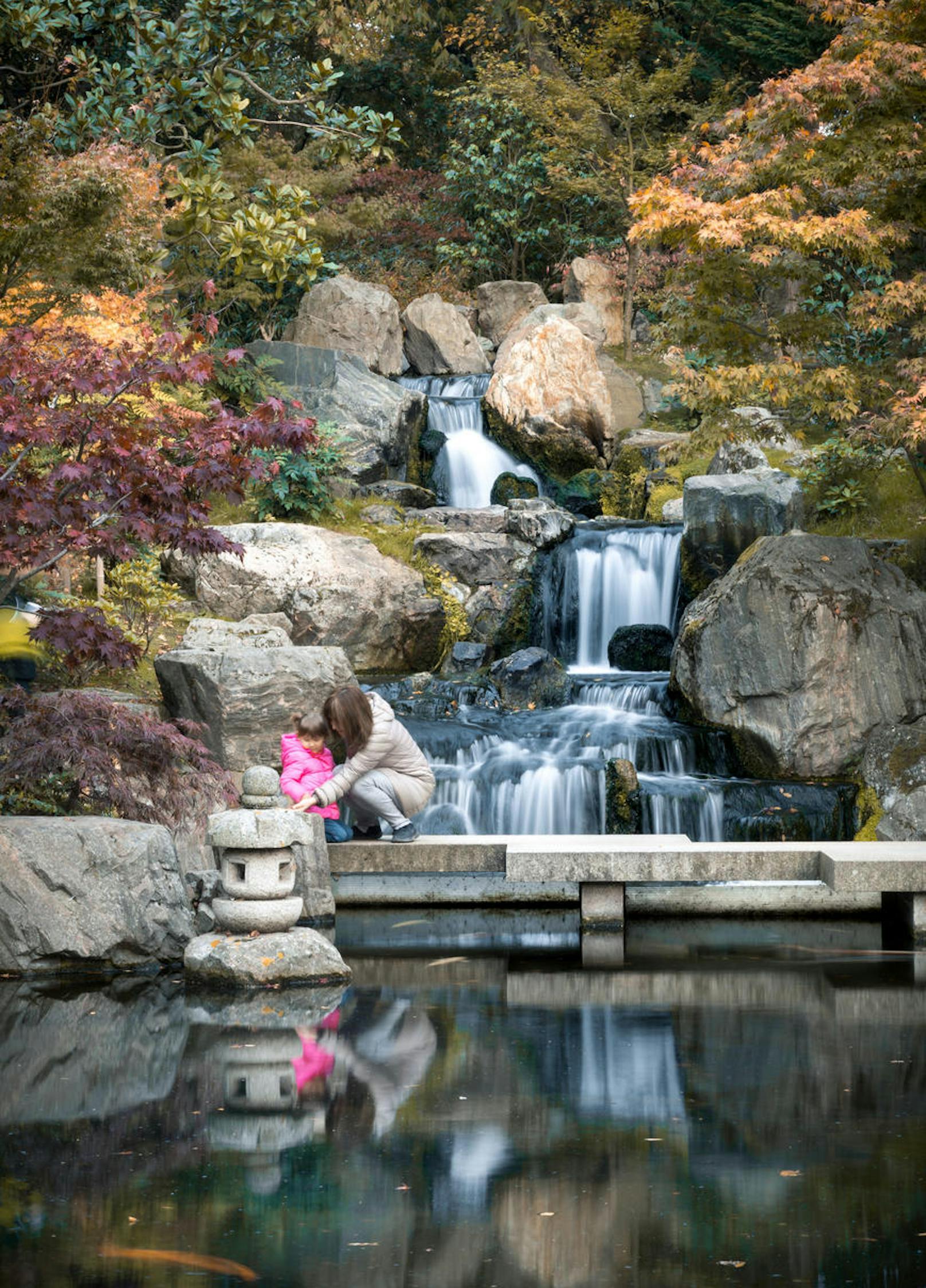 Kyoto Garden - der kleine Kyoto Garden im Holland Park im Westen Londons ist der ideale Ort zum Entspannen. Der Garten ist nach japanischen Vorbild angelegt und neben einem Koiteich spazieren auch einige Pfaue durch den Park.