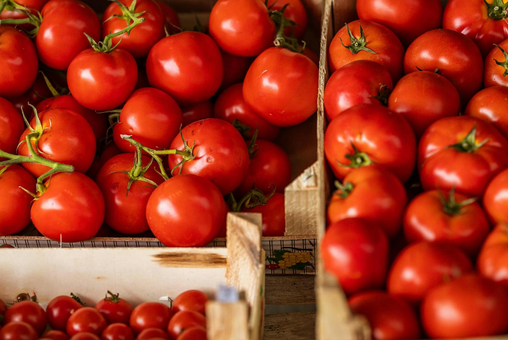 Auch Paradeiser stammen aus der Neuen Welt. Im Bild: Verschiedene Tomaten-Sorten auf einem Markt in Fazana, Kroatien.