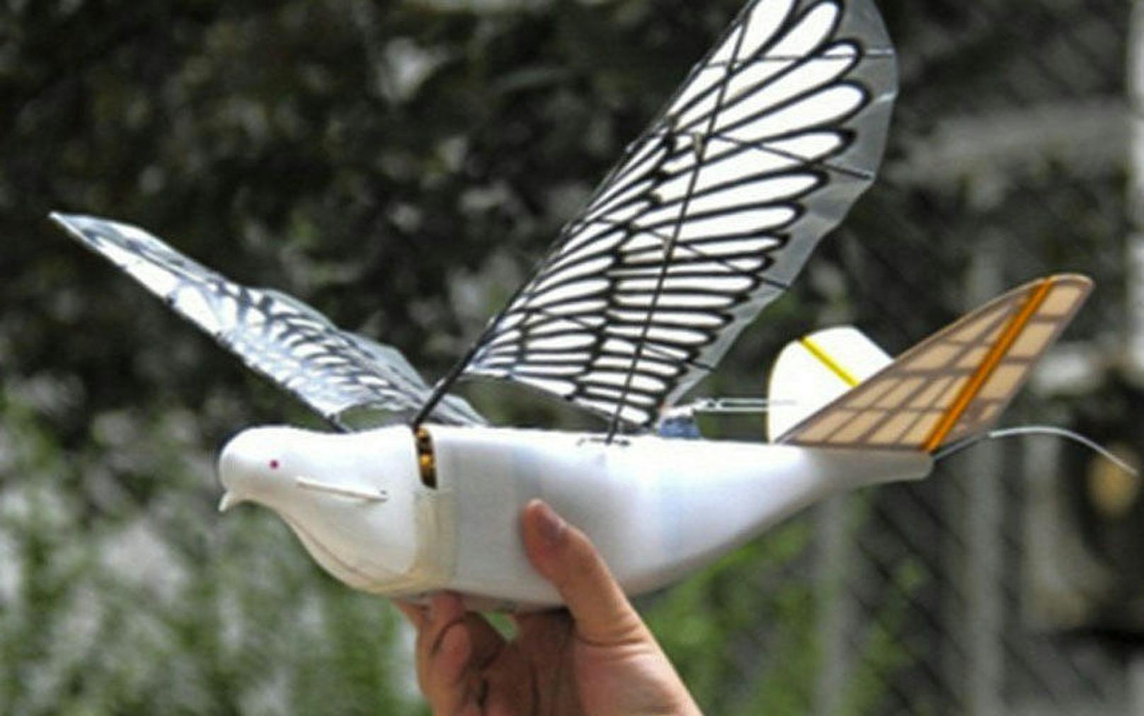 <b>30. Juni 2018: </b>China geht in Sachen Bürgerüberwachung noch einen Schritt weiter. Neben Gesichtserkennung, intelligenten Brillen und anderen Technologien sollen jetzt auch Drohnen in Vogelform zur Überwachung der 1,4 Milliarden Bürger beitragen. Die Drohnen sehen aus wie Tauben und ahmen mit ihren Flügeln auch deren schlagende Flugbewegung nach. Zudem verfügt jede Vogeldrohne über eine hochauflösende Kamera, eine GPS-Antenne, ein Flugkontrollsystem und eine Datenverbindung via Satellit. Einem Bericht der «South China Morning Post» zufolge sollen sie in mindestens fünf Provinzen zur Überwachung eingesetzt werden.