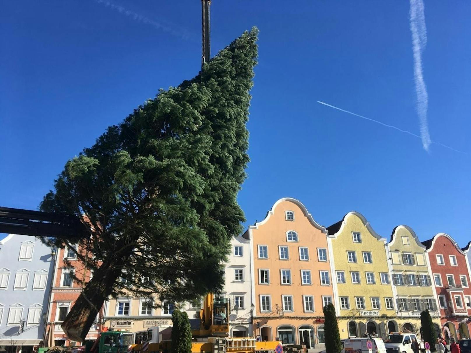 Der Christbaum in Schärding. (Schärding Tourismus/ FB).