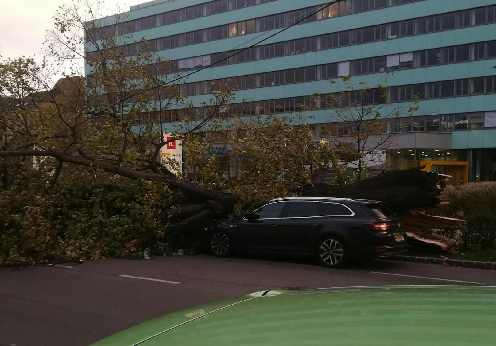 In der Schönbrunner Straße / Ecke Grünbergstraße ist am Nachmittag ein Baum auf ein Auto gestürzt.