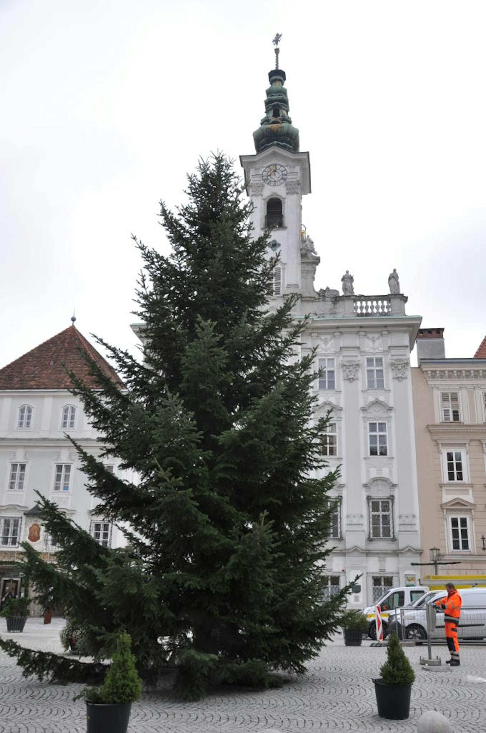 Der Christbaum in Steyr. (Bild: Stadt Steyr)