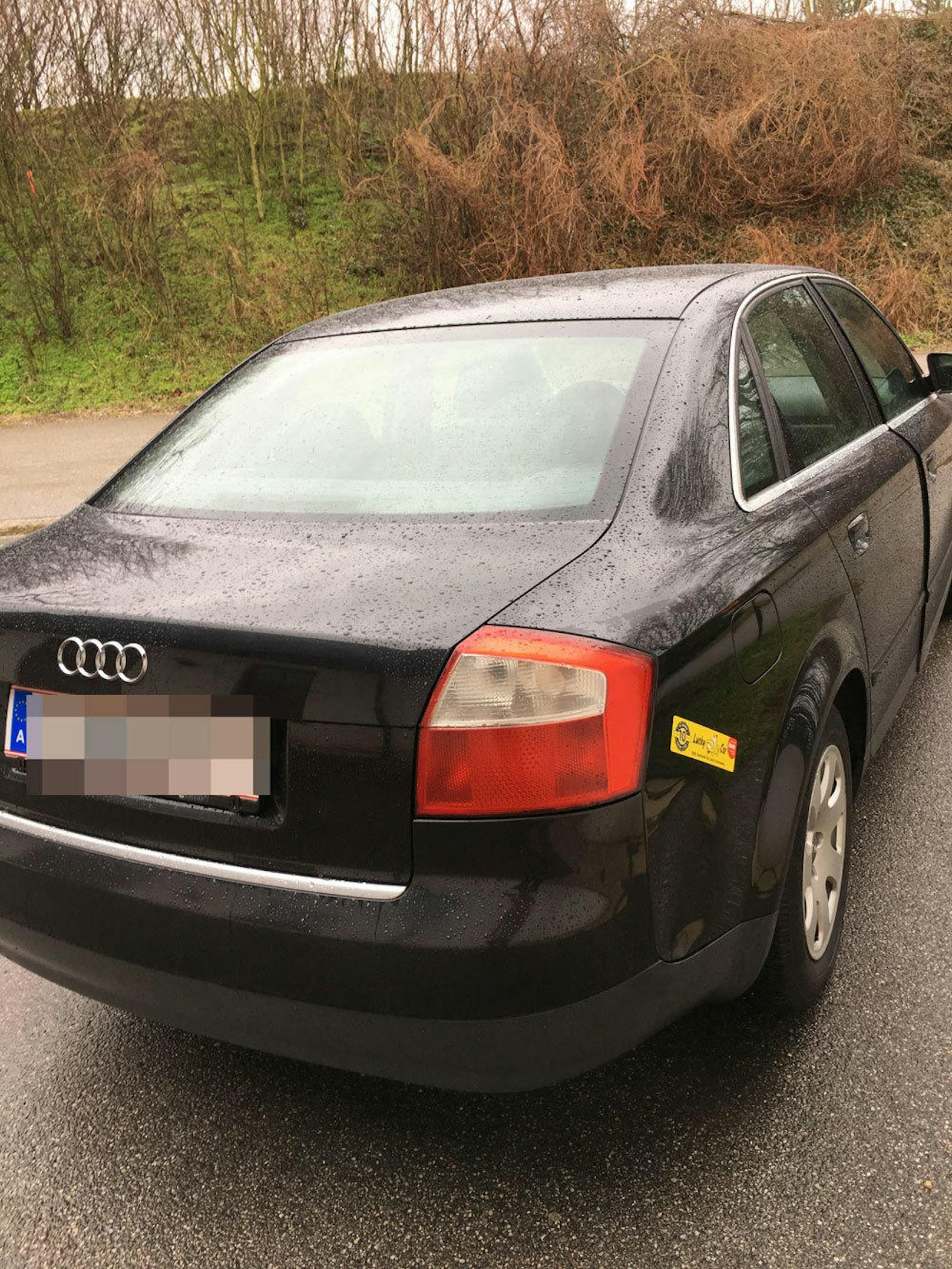 Audi von Johannes aus Gänserndorf