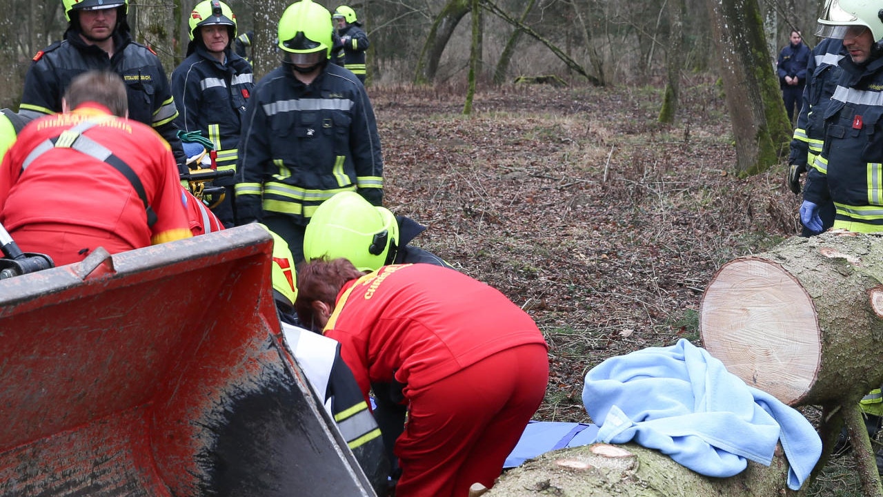 Der Landwirt (75) war bei den Forstarbeiten unter einen Baum geraten.