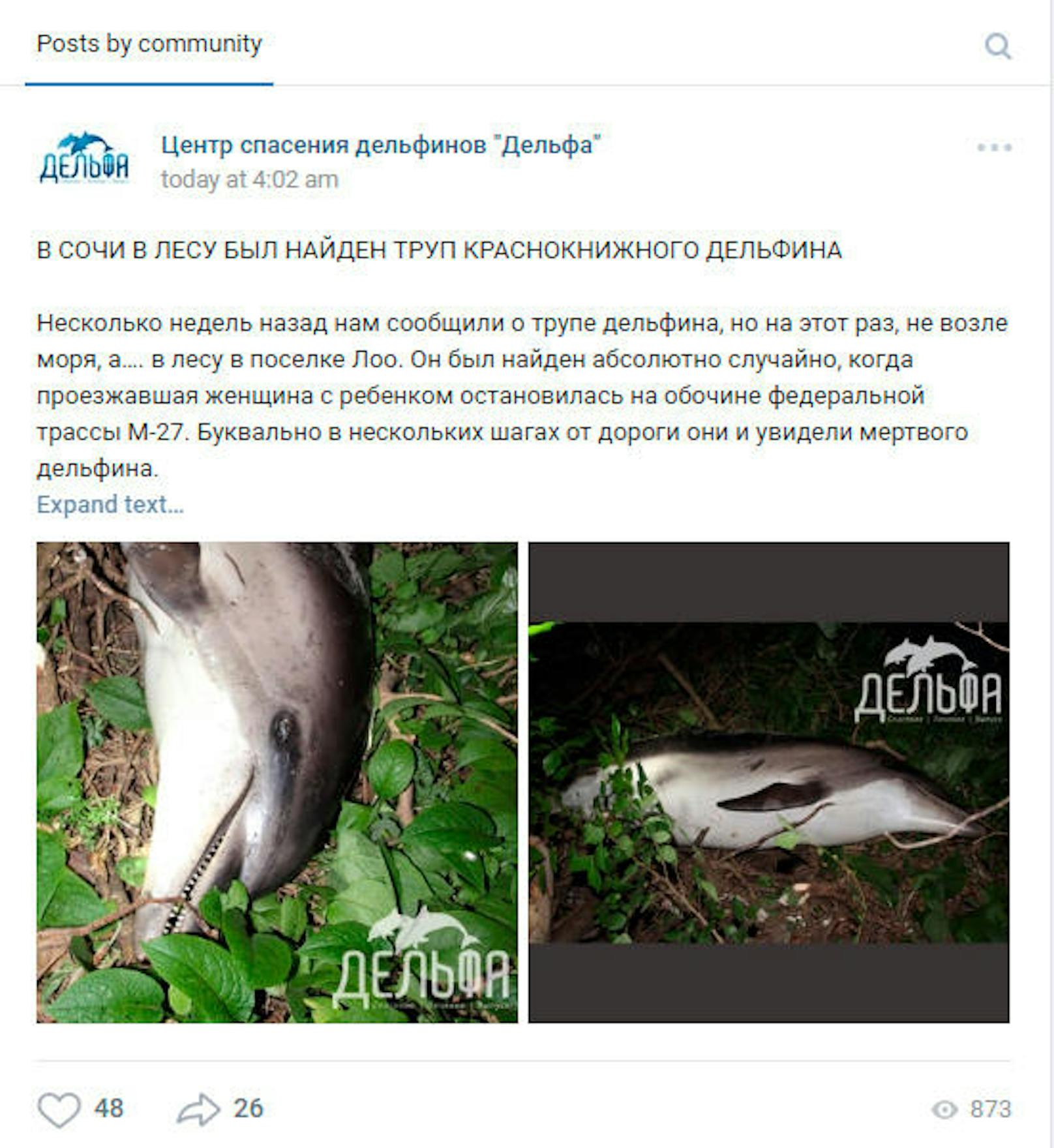 Auf dem russischen Facebook-Pendant VKontakte postete das Delfin-Rettungszentrum von Sotschi die Meldung mit Bildern des toten Delfins.