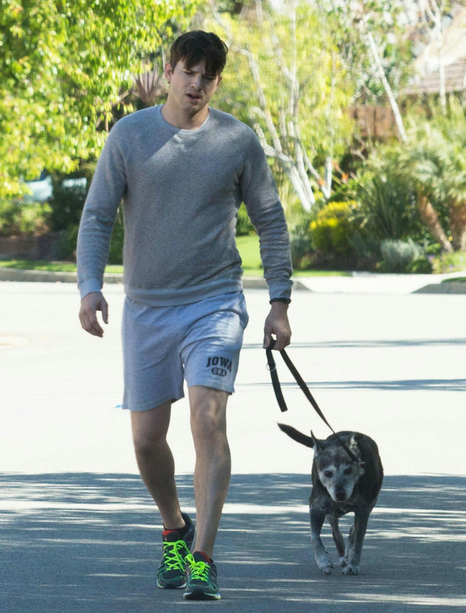 Recently engaged actor Ashton Kutcher seen walking his dog through his neighborhood in Los Angeles, California on April 6, 2014. 