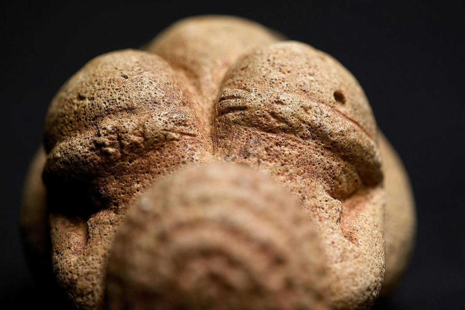 Aber auch in der Menschheitsgeschichte. Dabei zeigt sich, dass erotische Darstellungen schon im Jungpaläolithikum beliebt waren, wie die berühmte Venus von Willendorf beweist. (c) NHM Wien