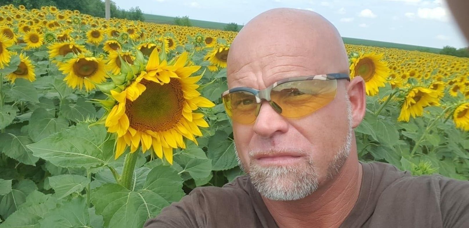 So malerisch und doch brandgefährlich: Jachan in Sonnenblumenfeld in Ukraine.