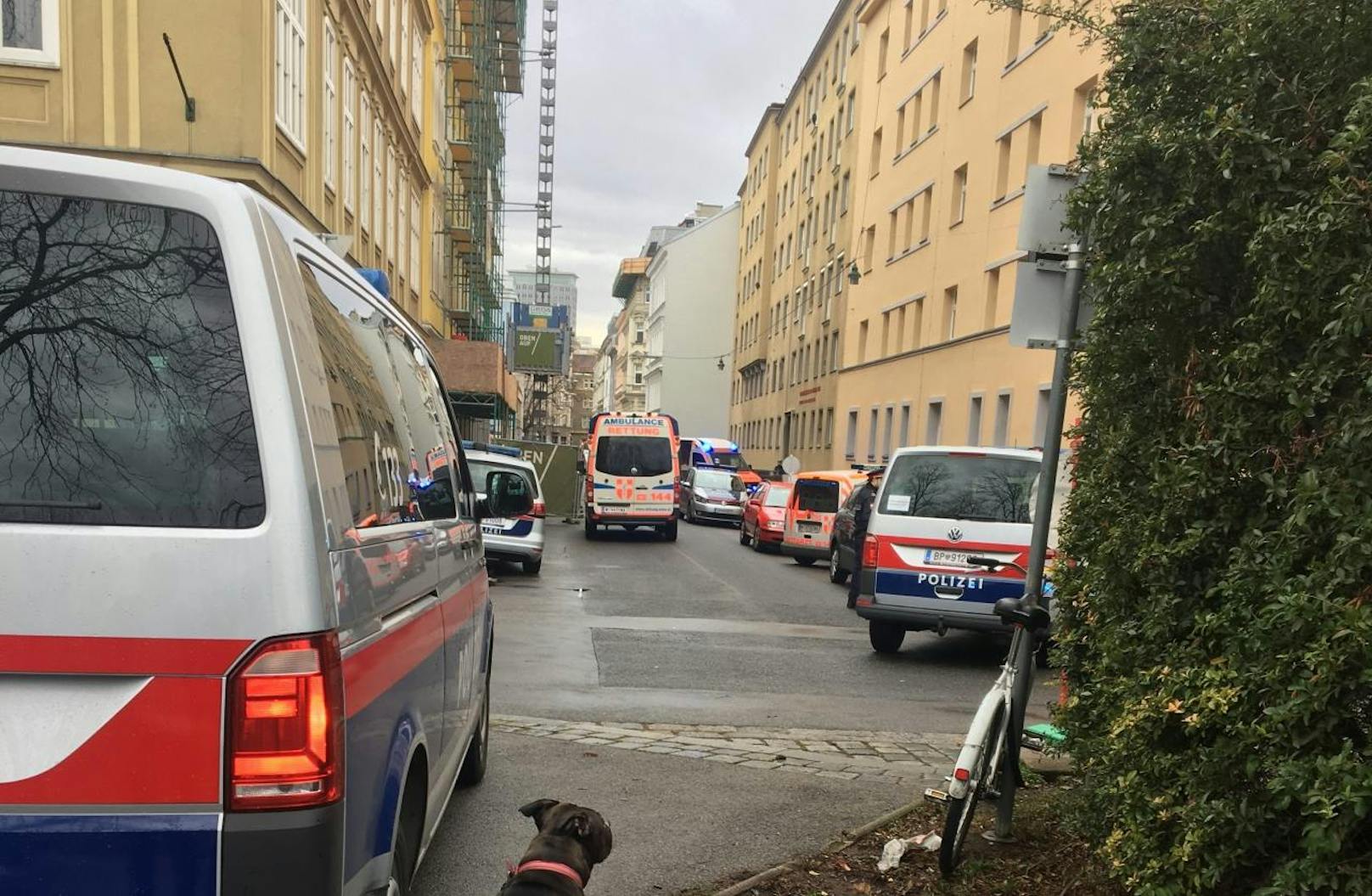 In Wien-Leopoldstadt wurde am Mittwoch eine männliche Leiche auf dem Gehsteig gefunden.