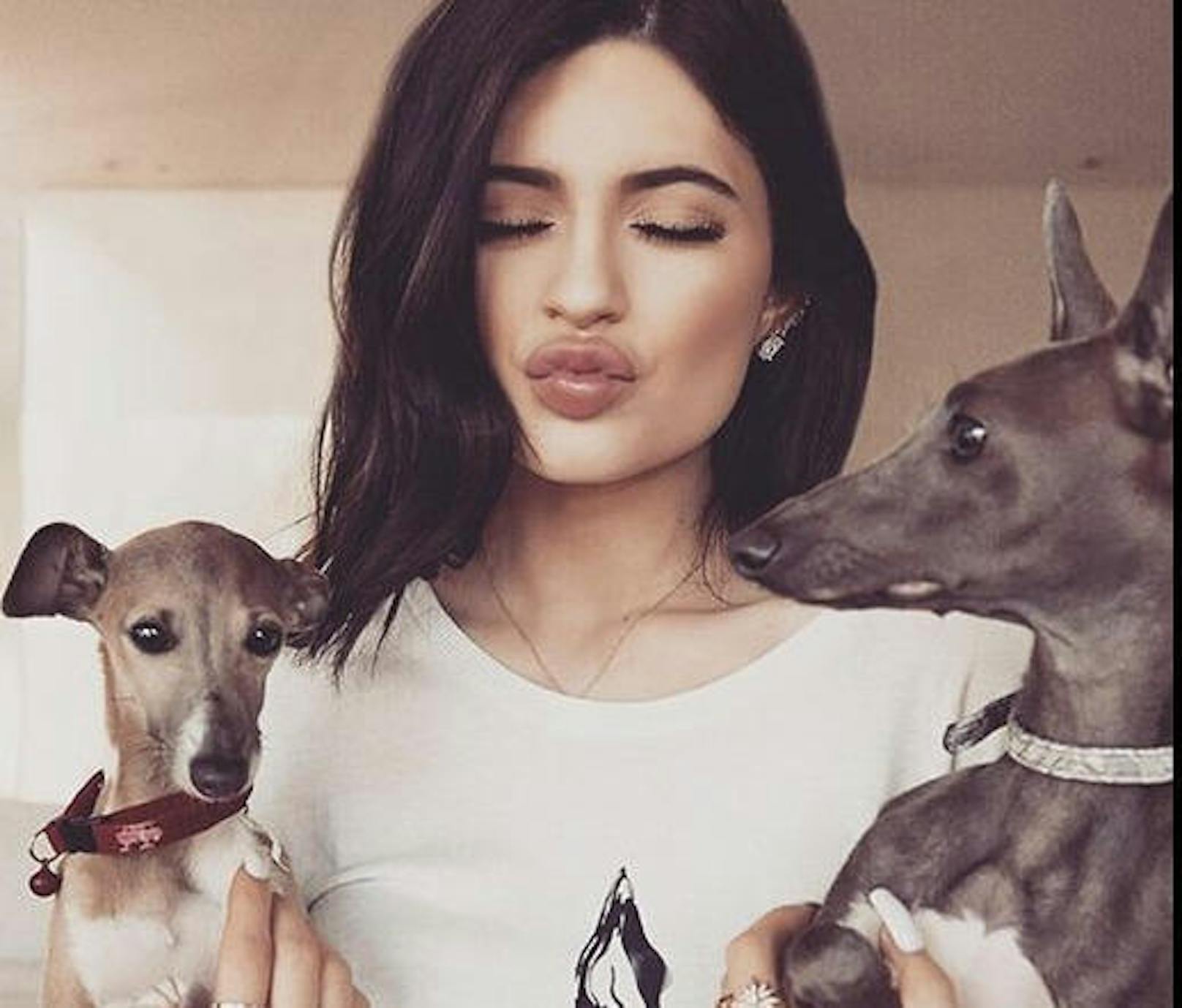 Kylie Jenner mit ihren Hunden Bambi (l.) und Norman