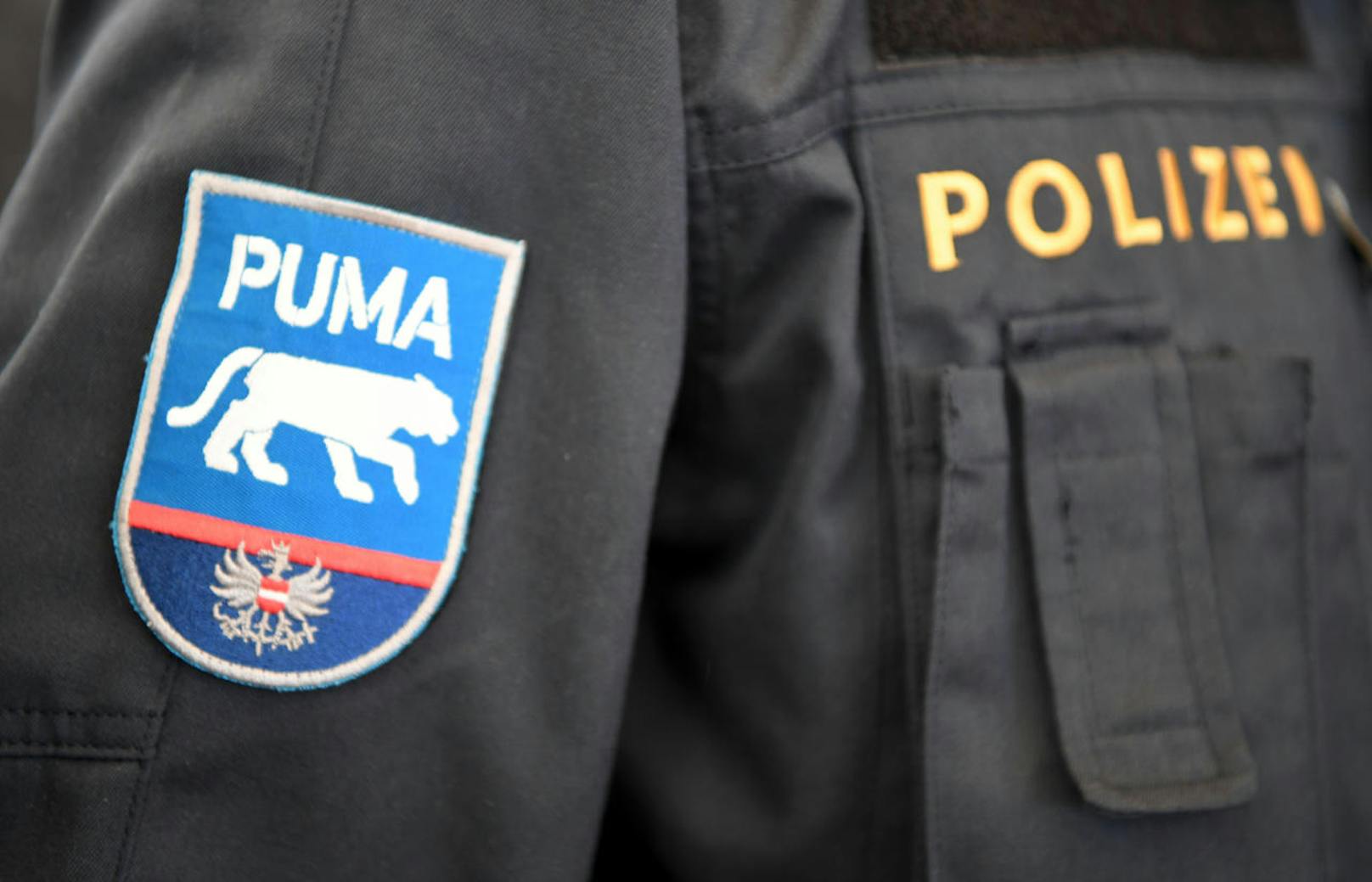Die neue Grenzschutzeinheit "Puma" von Innenminister Herbert Kickl (FPÖ) durfte ihr Logo bereits im Rahmen einer Grenzschutzübung in Spielfeld (Kosten: 205.000 Euro) präsentieren. Das Ministerium will allerdings nicht ganz so offen zur Schau stellen, woher das Logo eigentlich kommt.