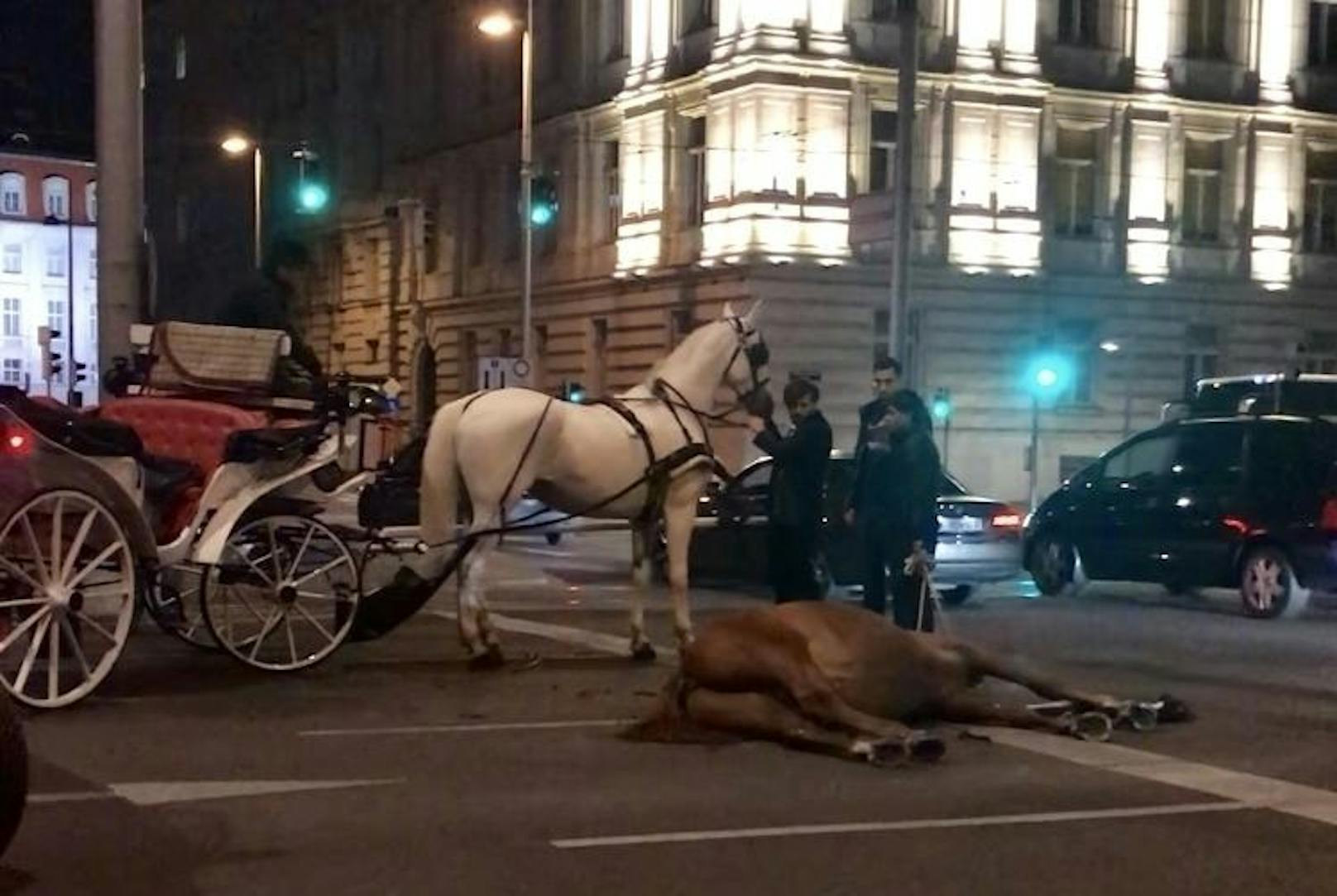 Ein Fiaker-Pferd ist am Wiener Schwarzenbergplatz gestürzt und hat dadurch kurzfristig für ein Verkehrschaos rund um die Unglücksstelle gesorgt (5. Oktober 2018).