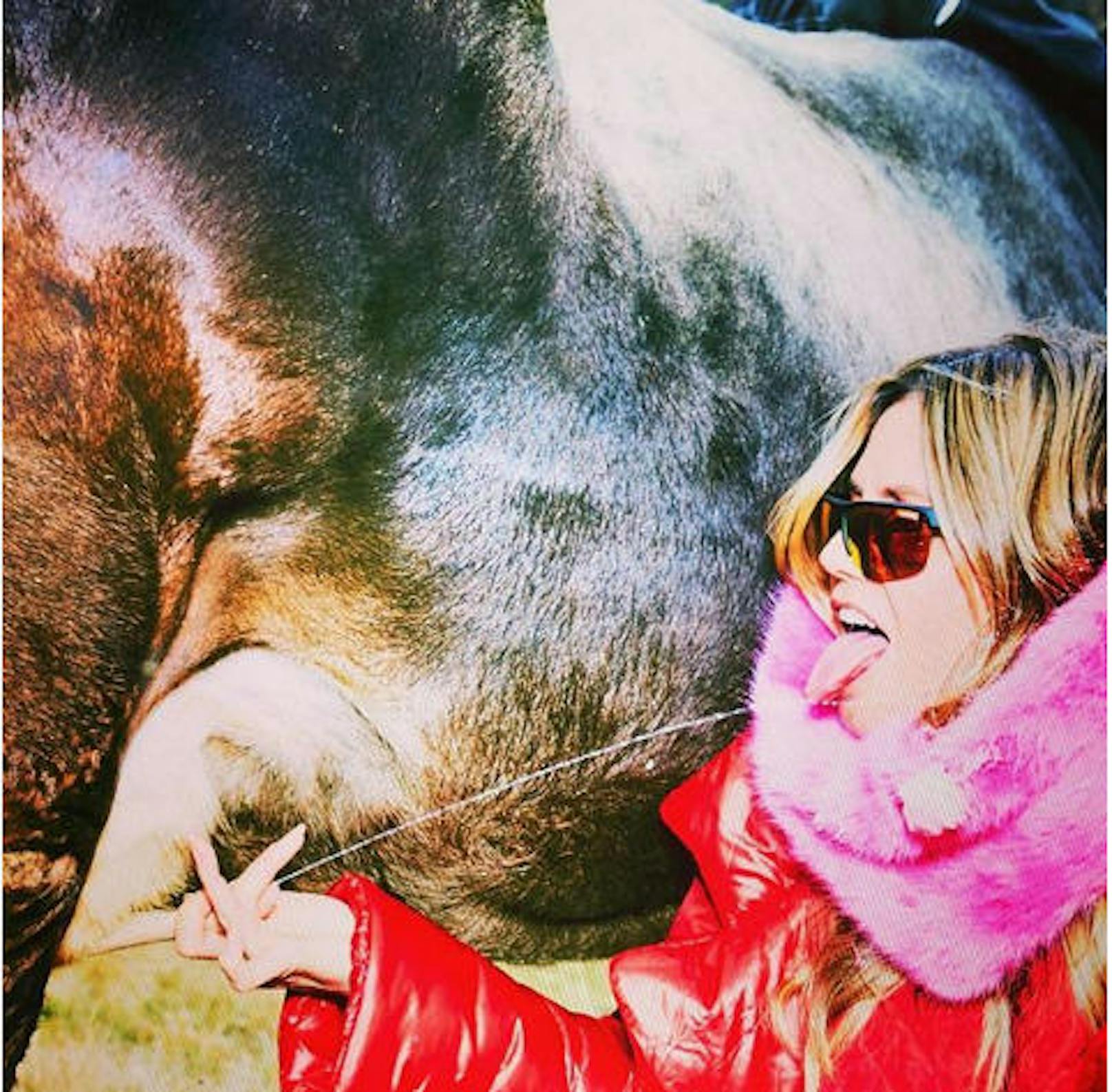 10.11.2018: Supermodel Heidi Klum zeigt, wie sie eine Euter in der Hand hält und sich frische Milch in den Mund spritzen lässt. Viele ihrer Fans finden das Foto "eklig".  <a href="https://www.heute.at/people/stars/story/Heidi-Klum-Instagram-Kuh-Foto-Milch-Aufregung-54192369">Den Artikel dazu finden Sie hier</a>