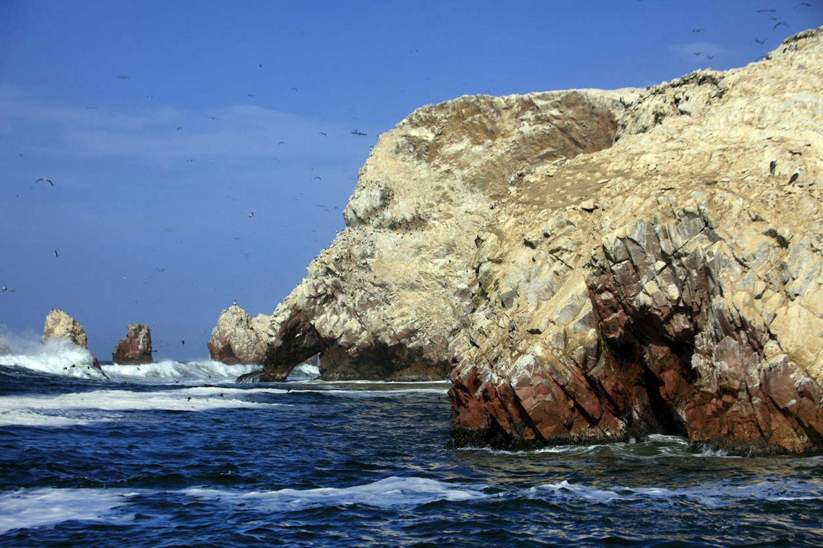 <b>Alternative:</b> Die Ballestas-Inseln in Peru. An der Küste haben sich Kormorane, Pelikane und Galápagos-Albatrosse angesiedelt, während man im Wasser Robben und Seelöwen beobachten kann.