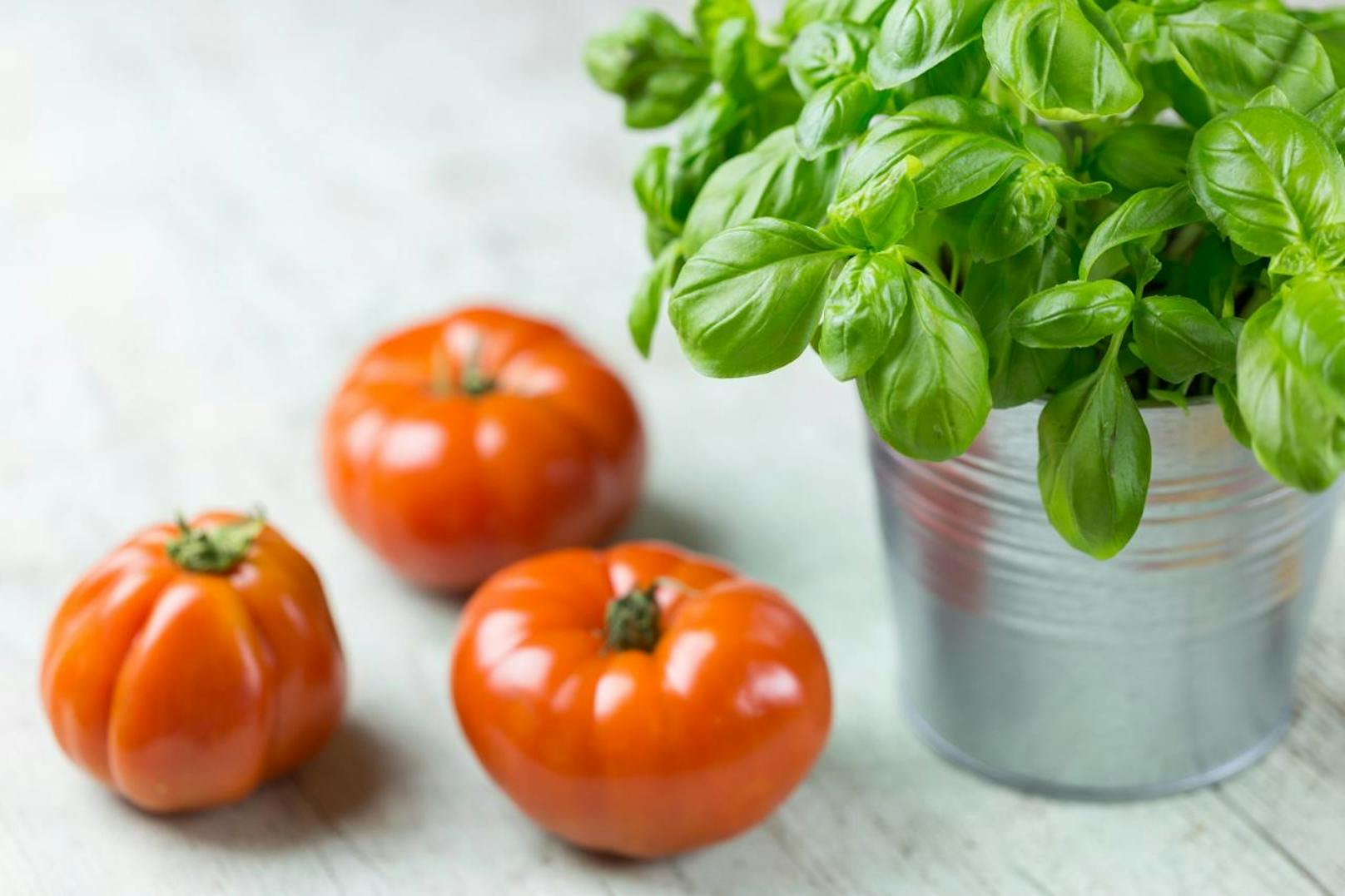 Tomaten und Basilikum kühlen den Körper von innen.
