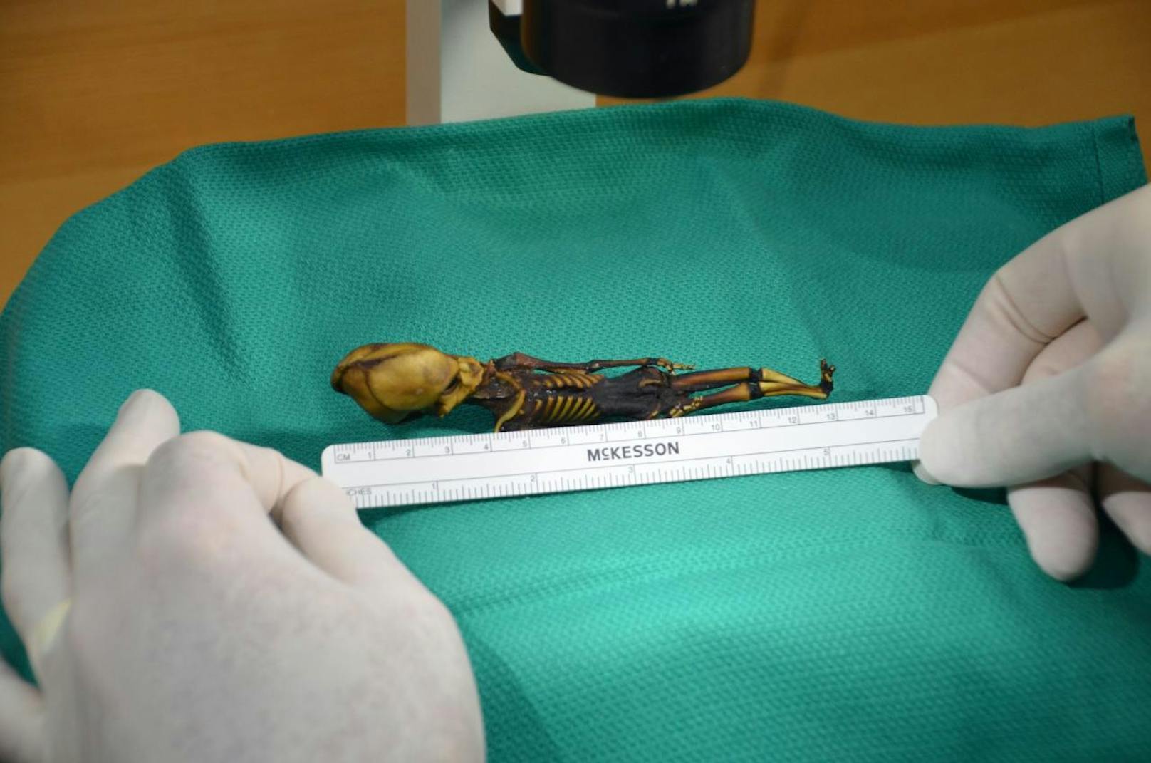 Die handgroße Mini-Mumie aus der Atacama-Wüste wurde nach ihrem Fundort "Ata" genannt. Die DNS-Analyse zeigte nun, dass es sich um einen Menschen handelt.