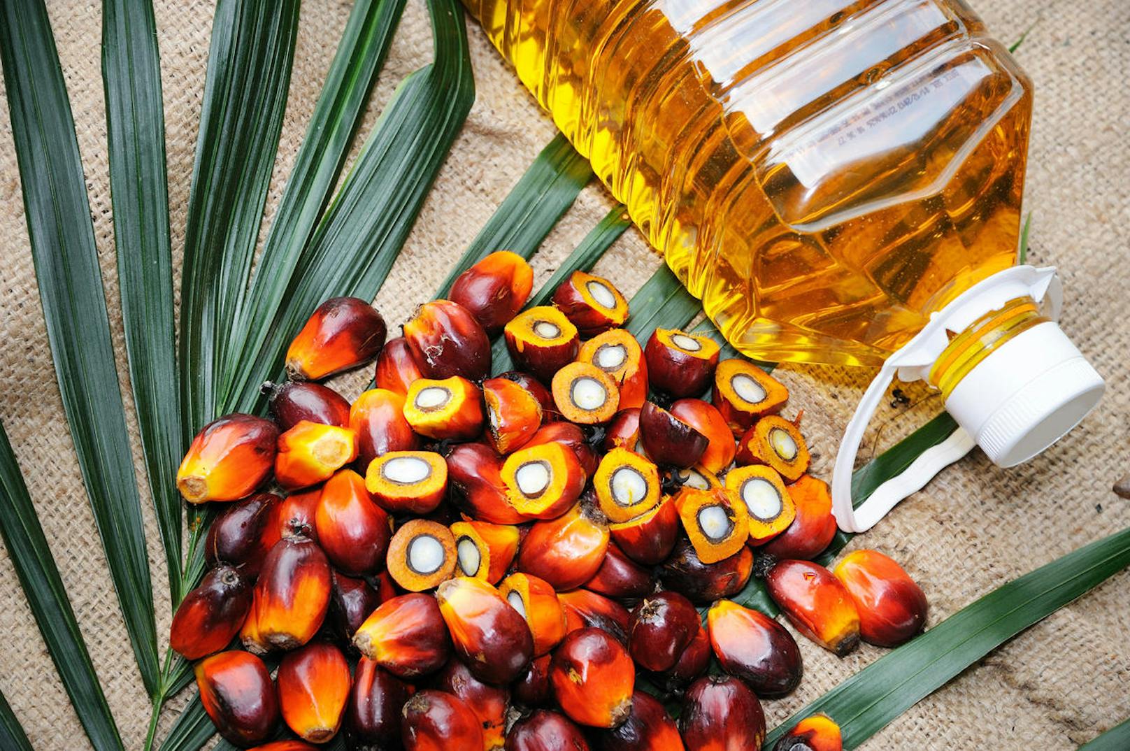 Palmöl ist in tausenden Lebensmitteln in österreichischen Supermärkten zu finden.