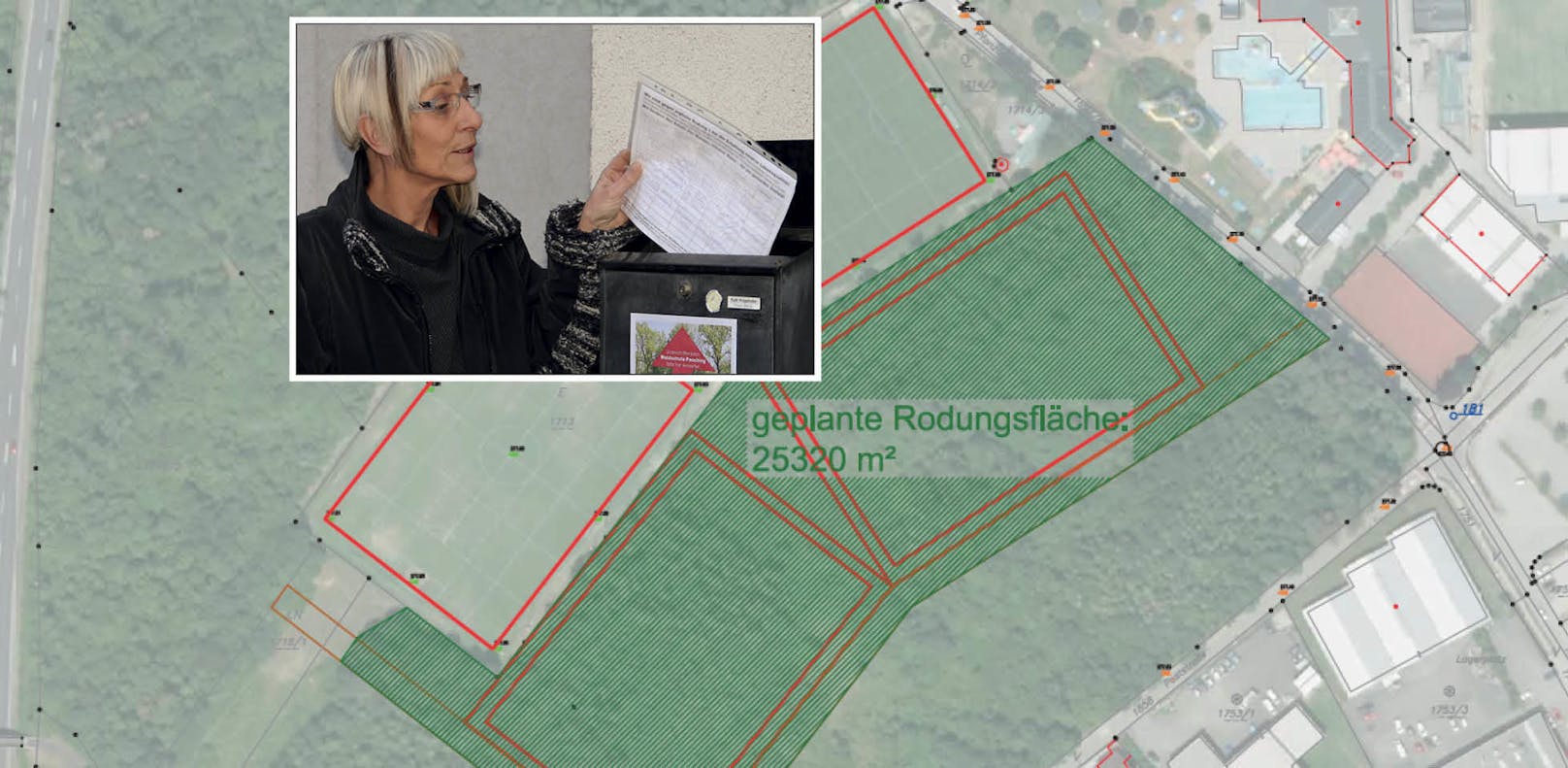 Ruth Kropshofer kämpft mit der Initiative "Waldschutz Pasching" für den Erhalt des Waldes.