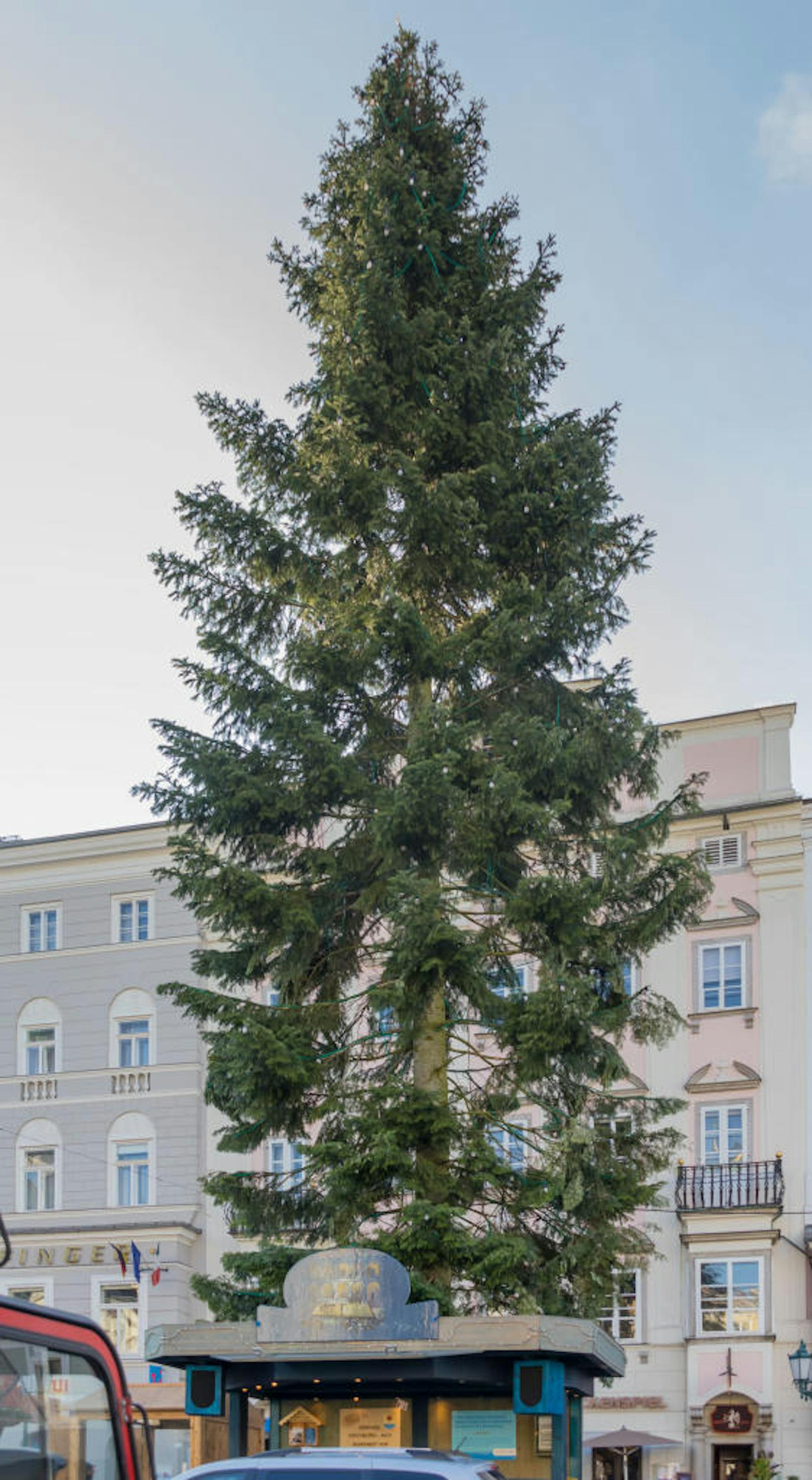 Der Christbaum am Linzer Hauptplatz