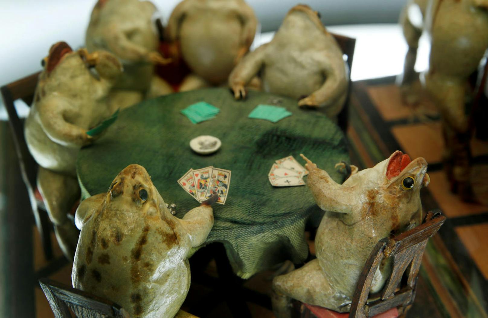Frösche beim Kartenspiel. Der Gewinner hat gut lachen! Im Froschmuseum in Estavayer-le-Lac in der Schweiz stellen 108 ausgestopfte Frösche Alltagsszenen aus dem 19. Jahrhundert dar.