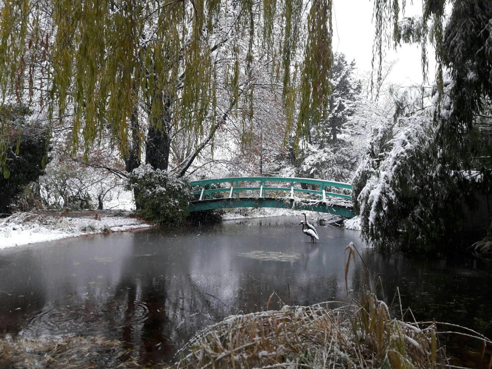 Der erste Schnee im Monet Garten
