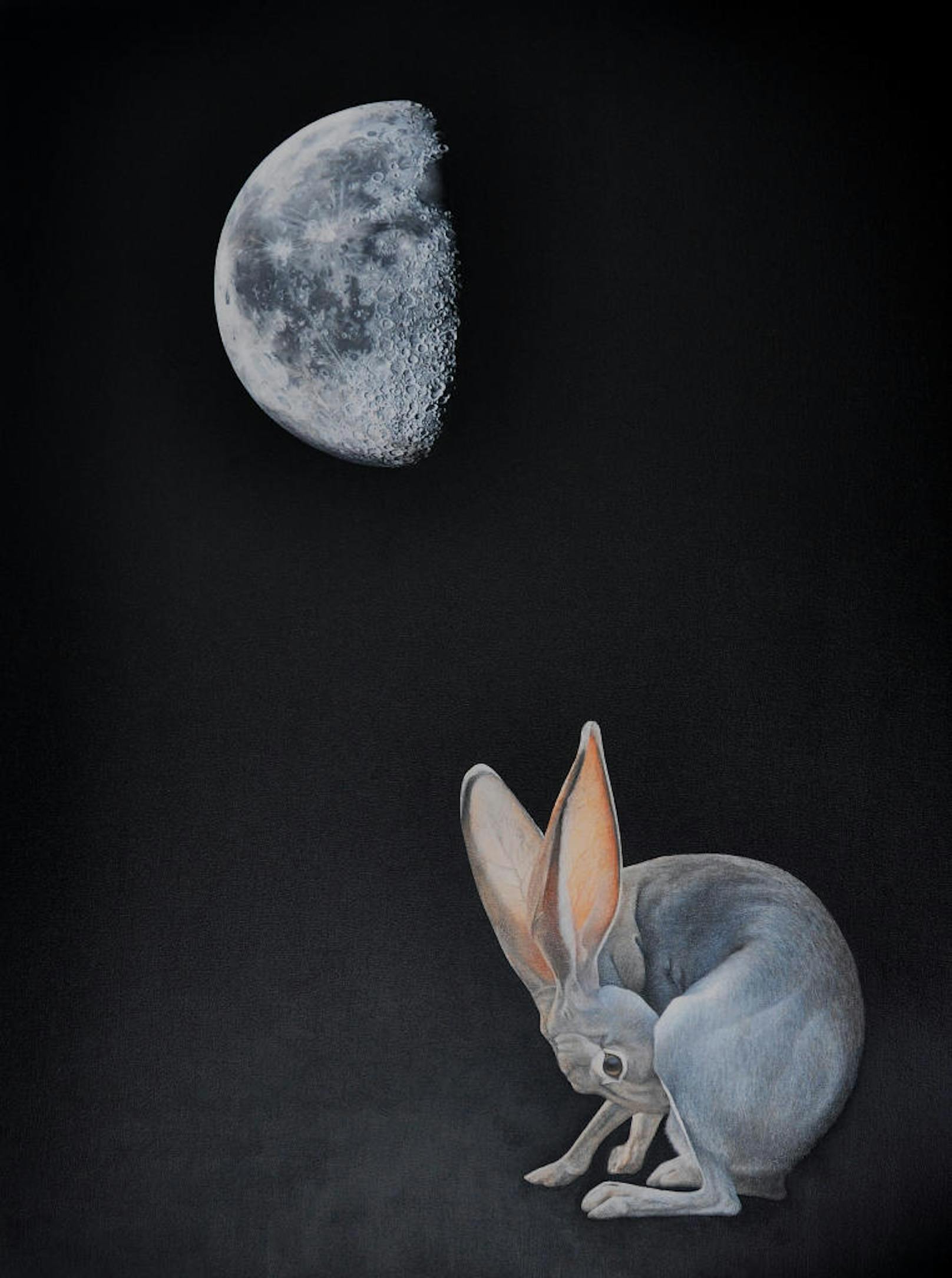 In ihrem Werk verknüpft die Künstlerin auch Wissenschaft mit Mythologie, so wie bei dem Bild "Lunar Hare", das auf die chinesische Fabel vom Hasen im Mond verweist. (c) Dona Jalufka