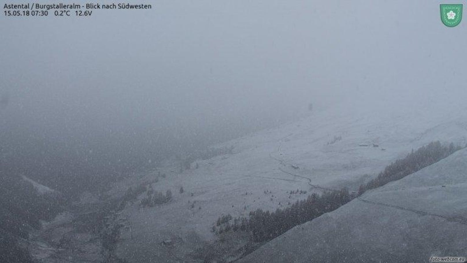 Schneefall in Kärnten am Dienstag in etwa 2.100 m Höhe. (Quelle: www.foto-webcam.eu)