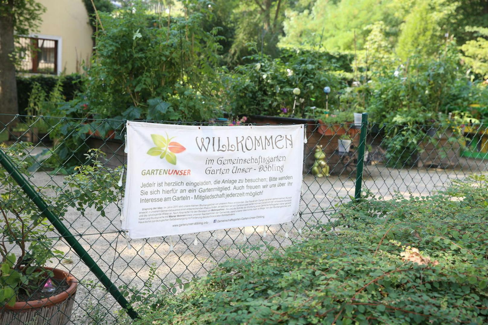 Der Gemeinschaftsgarten "Garten Unser Döbling" ist ein Paradies für die Gemeindebau-Mieter.