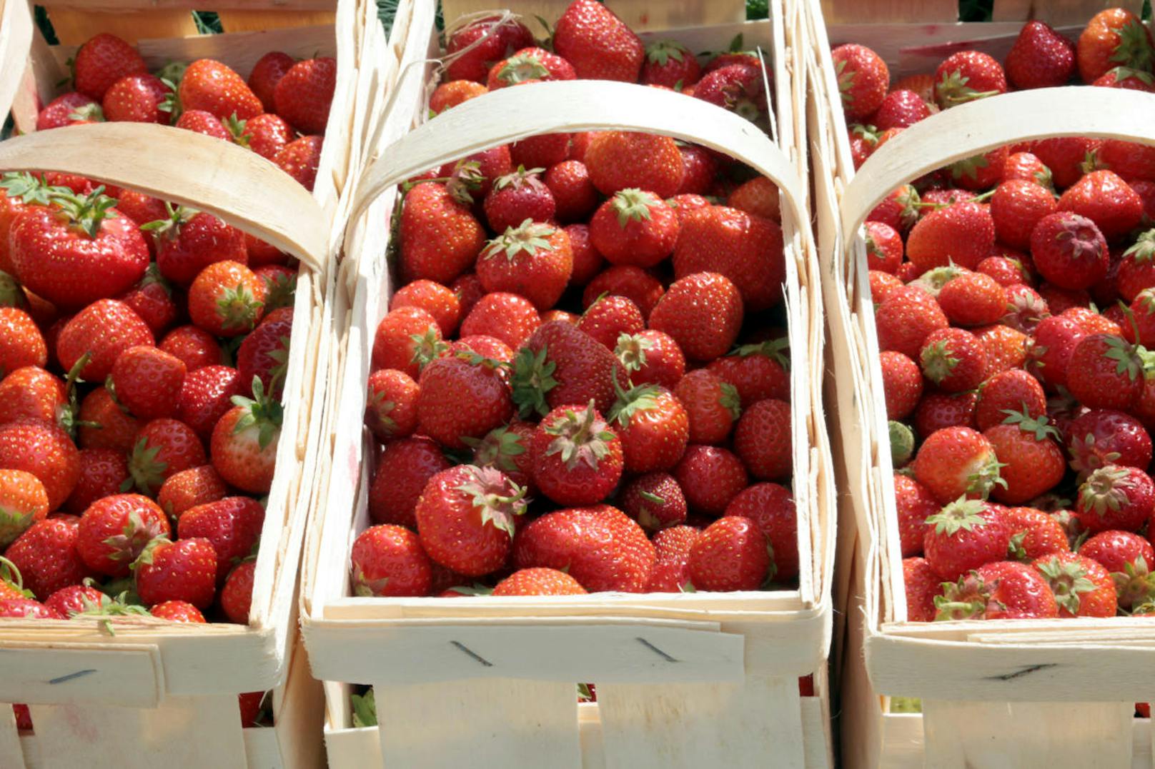 Vor allem Erdbeeren sind hochsensibel und schimmeln schnell.